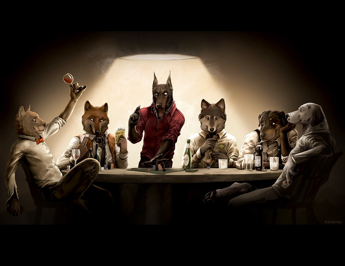 dogs, furry, cats, 480P, art, fandom, poker, hd, x, animals, HD Wallpaper