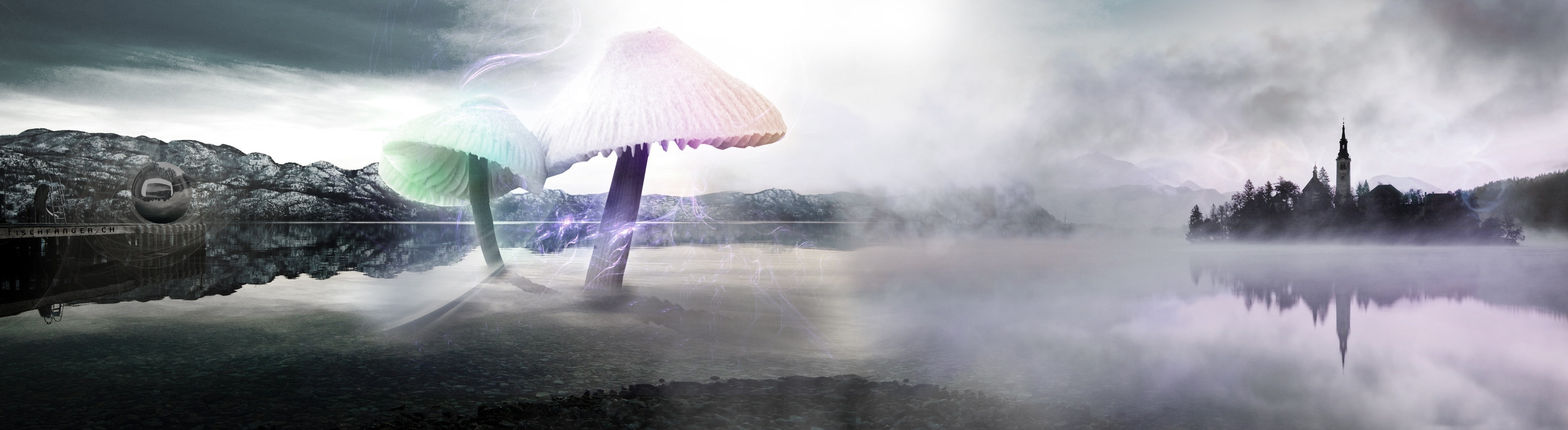 youtube, panoramic, outdoors, cinema 4d, adobe, sun, speedart, tree, 3d, scenics - nature, abstract, forest, mushrooms, day, white, motion, cloud - sky, HD Wallpaper