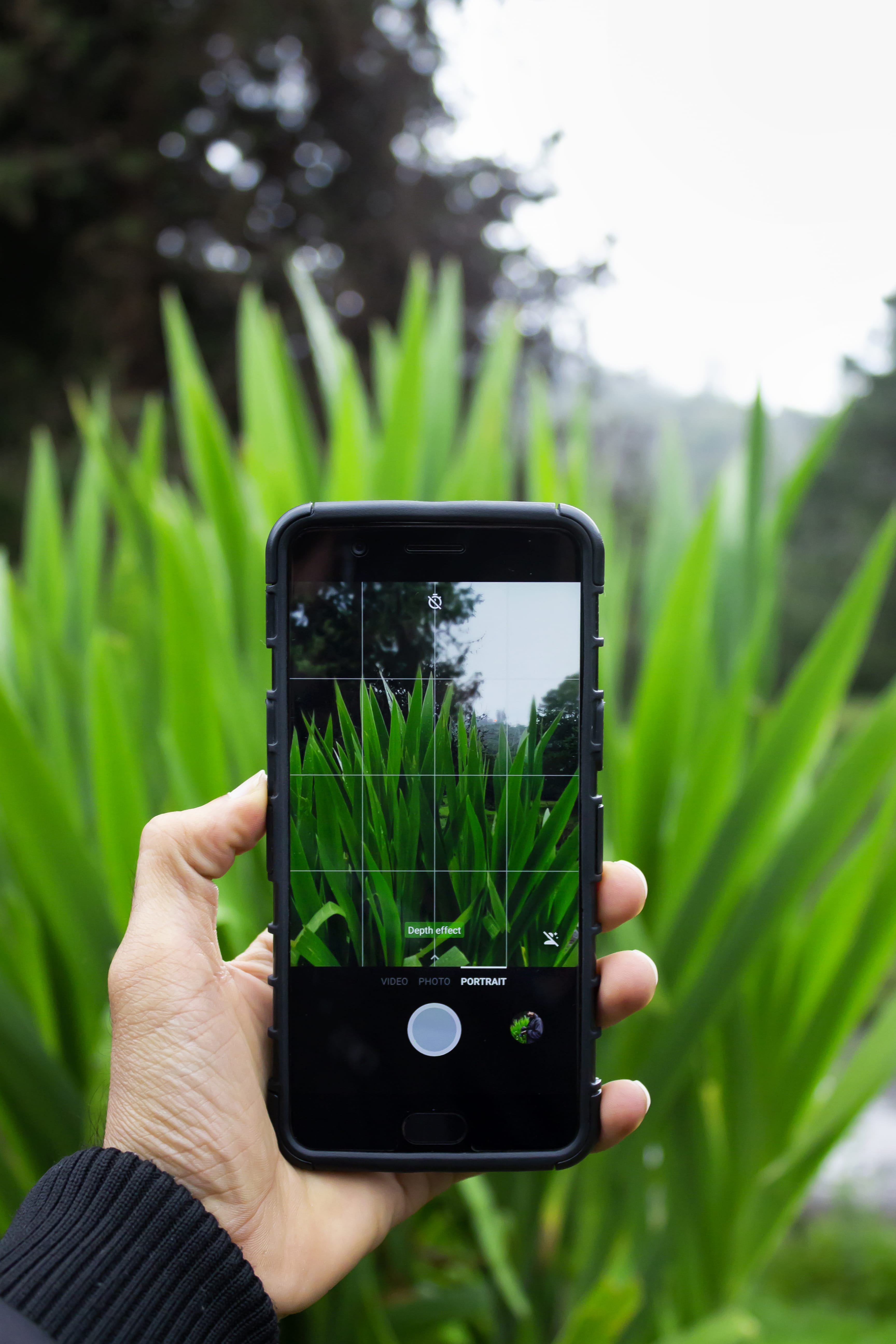 smart phone, hand, communication, camera, taking photo, finger, one person, closeup, real people, green color, leisure activity, trees, screen, plant, cell phone, Phone HD Wallpaper