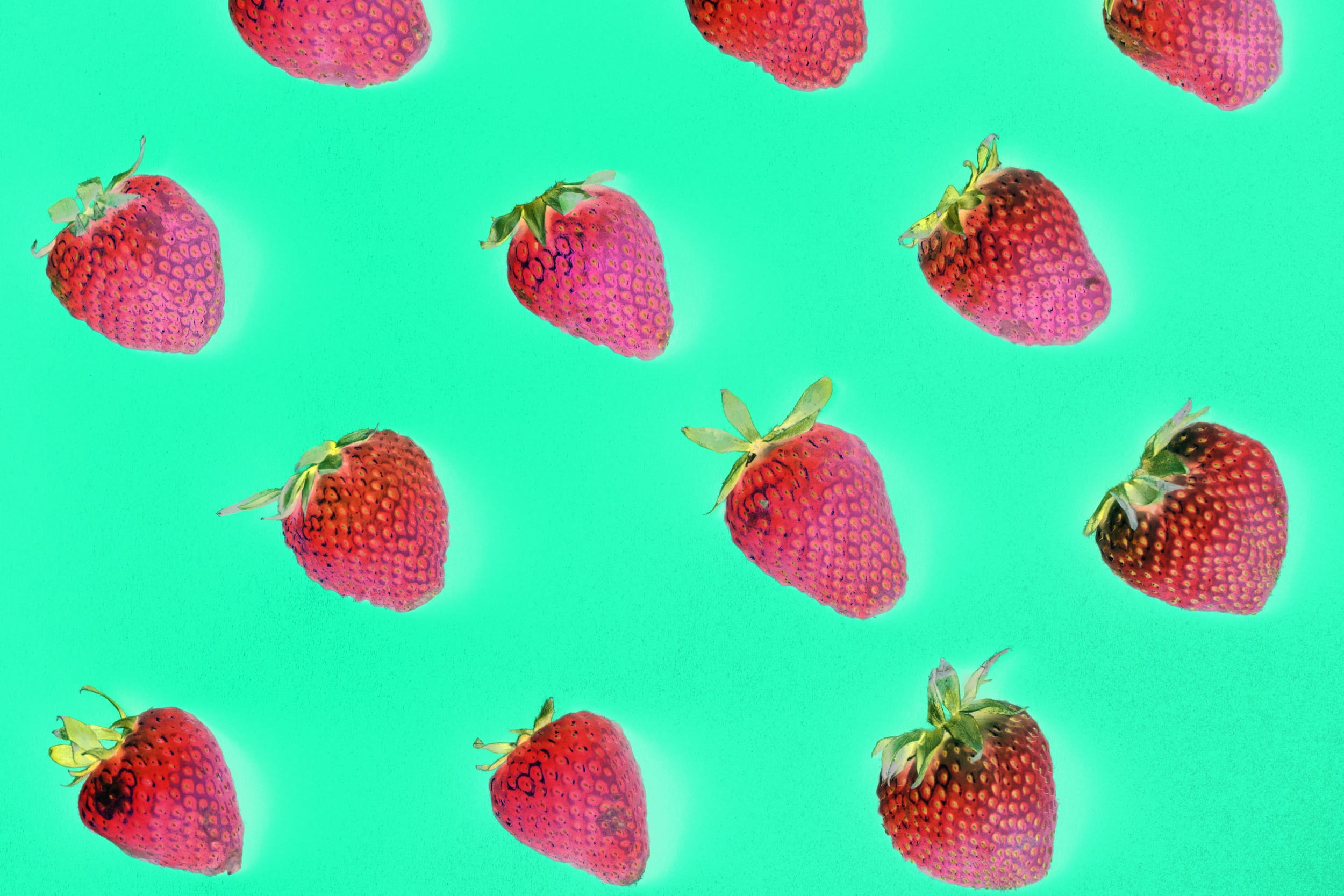 color, fruit, natural, colorful, no people, background, group of animals, nutrition, raw, sea, diet, macro, invertebrate, food, seed, animals in the wild, HD Wallpaper