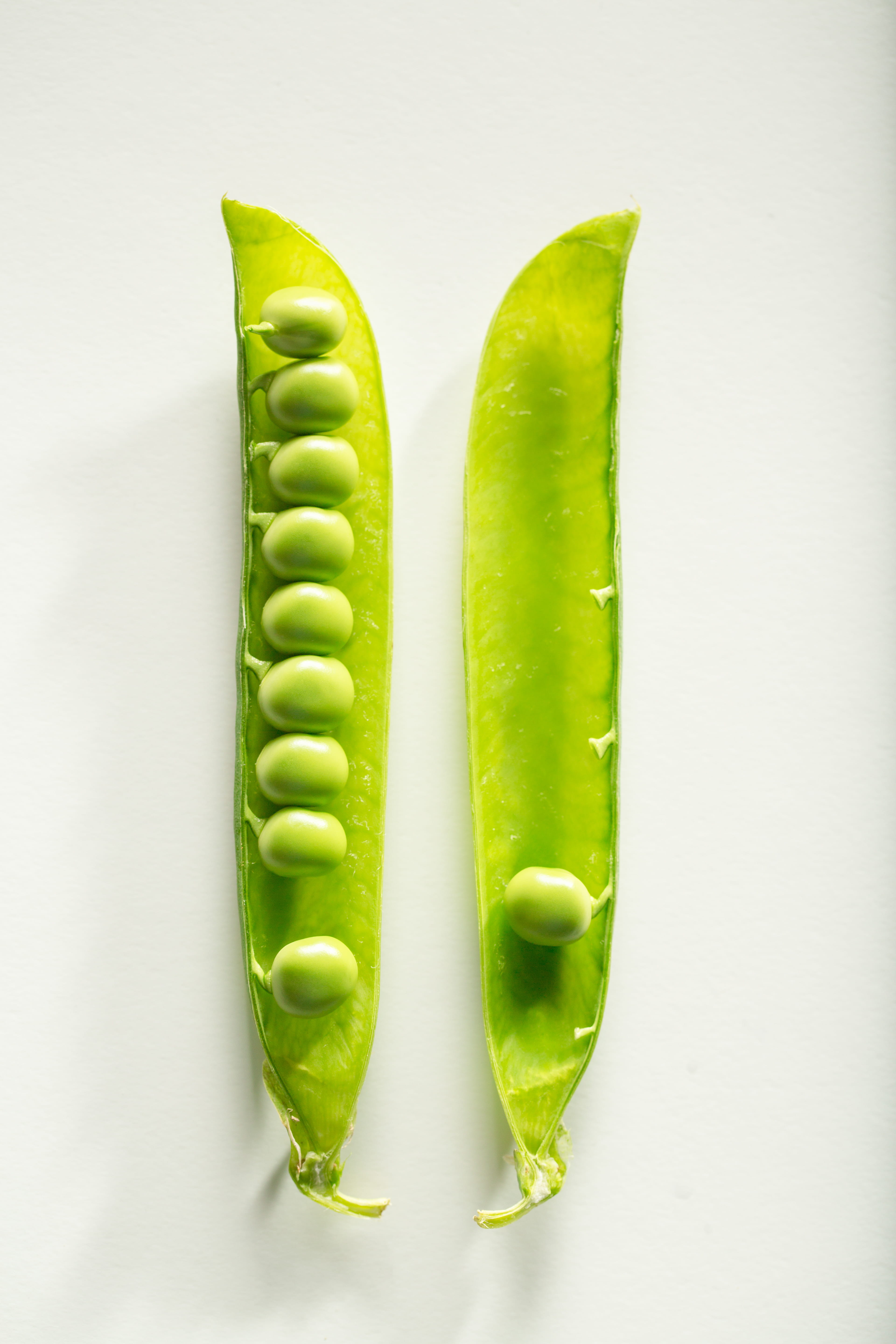 studio shot, colored background, flora, vegetable, no people, 5K, legume, grow, group of objects, food, freshness, health, wellbeing, organic, green, disjunct, Phone HD Wallpaper