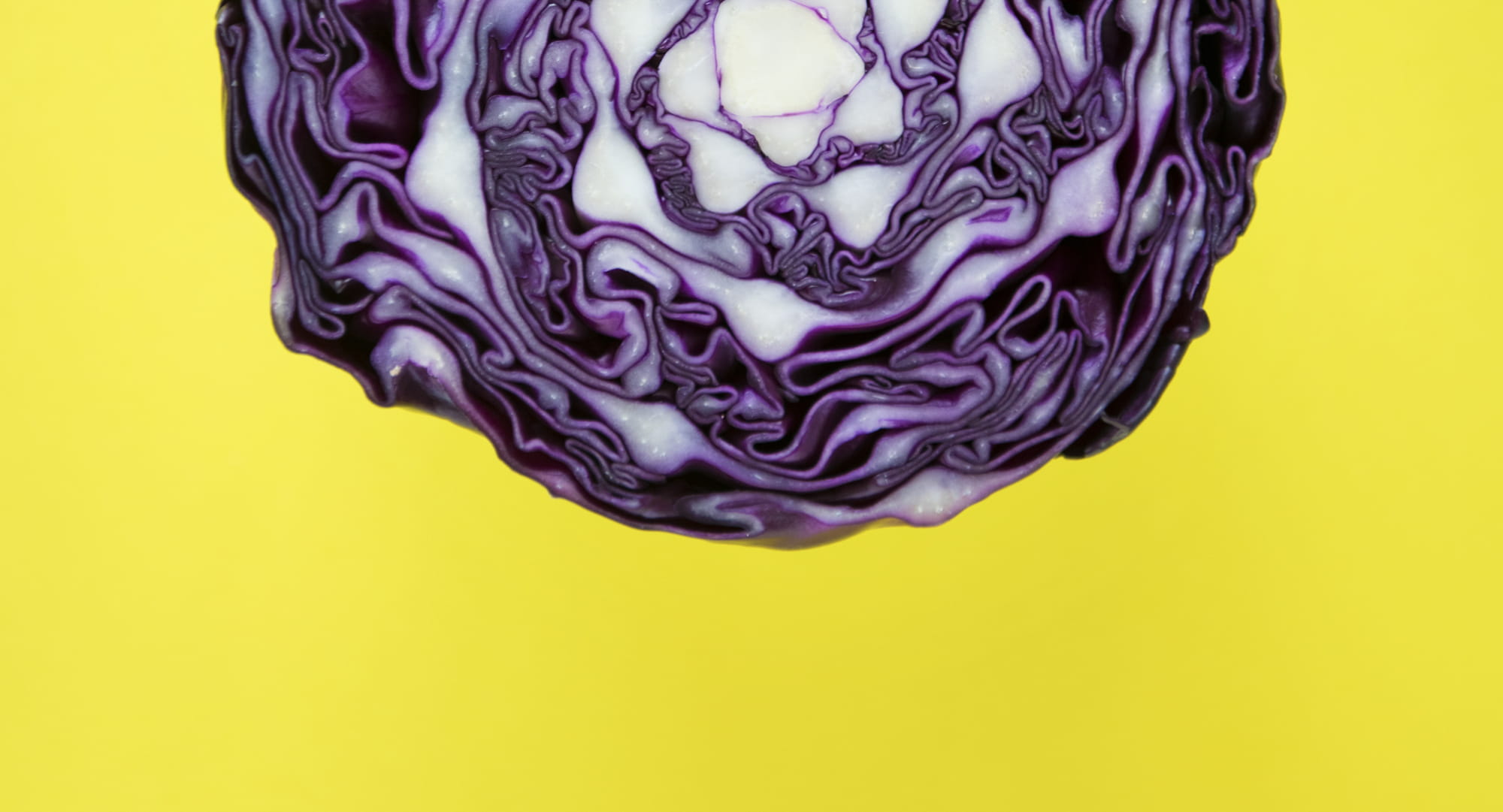 close-up, macro, abstract, round, studio shot, backgrounds, shape, disjunct, food, flora, blue, abstract painting, yellow background, yellow, background, HD Wallpaper