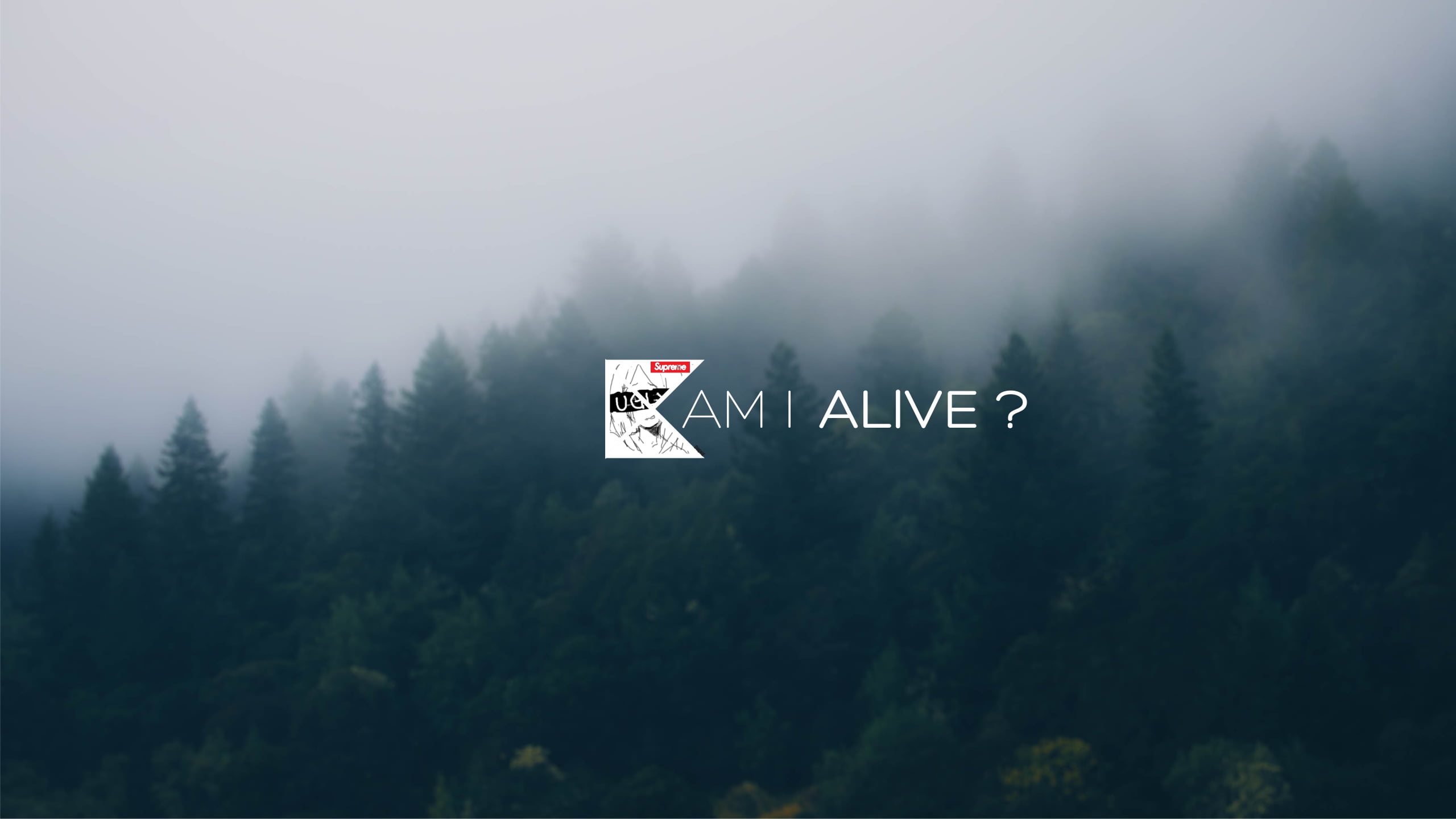 day, beauty in nature, 2K, no people, tree, scenics - nature, tranquil scene, fog, supreme, tranquility, text, communication, sky, land, outdoors, blurred, HD Wallpaper