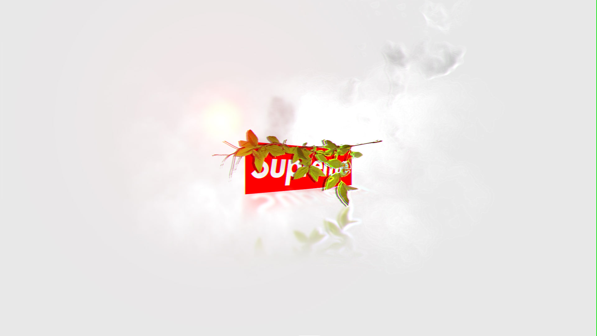 simple background, white background, 1080P, supreme, leaves, HD Wallpaper