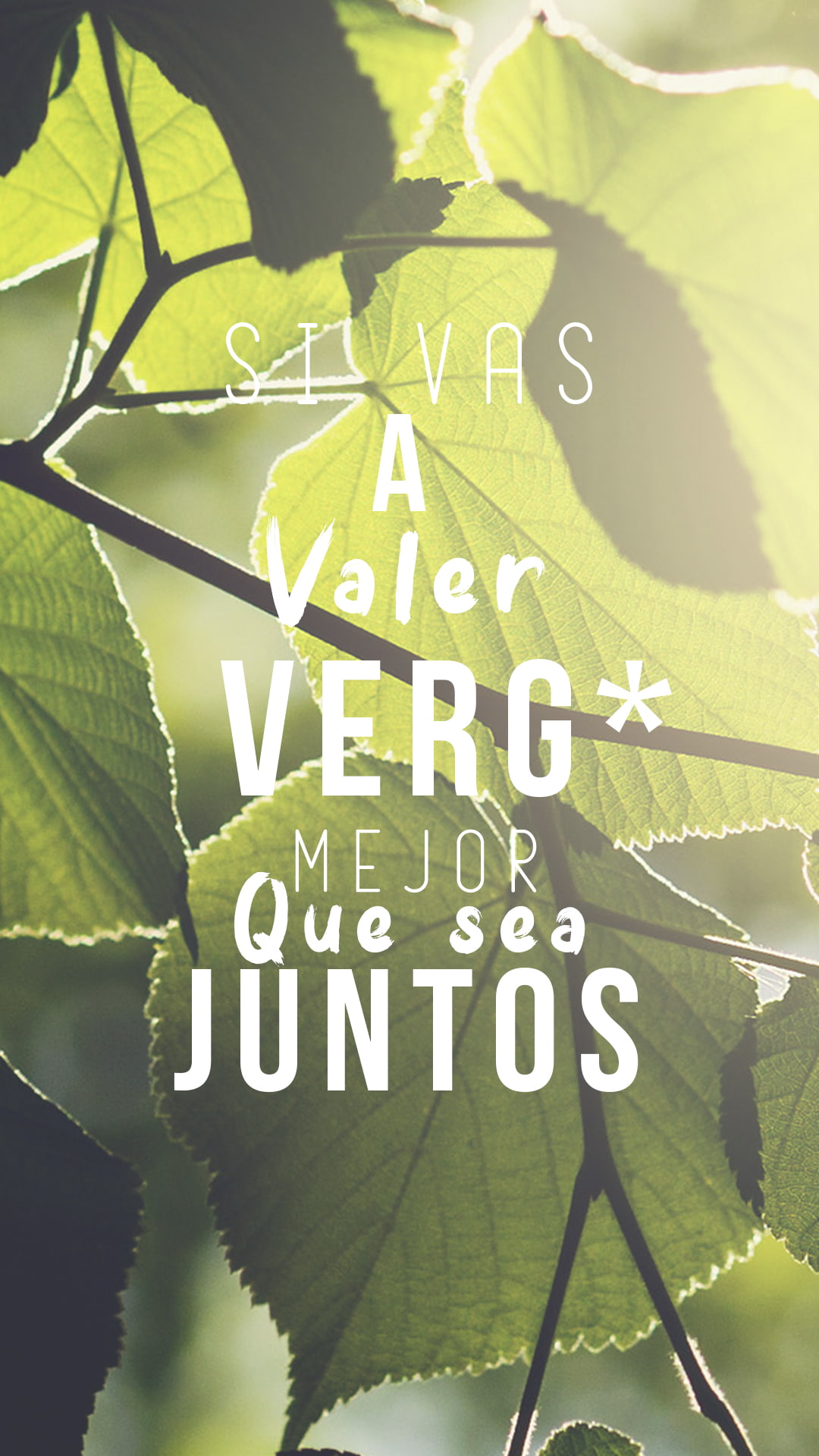 green color, no people, communication, vegetable, growth, sunlight, tree, nature, supreme, guidance, day, outdoors, 1080P, sign, leaf, text, garden, western script, Phone HD Wallpaper