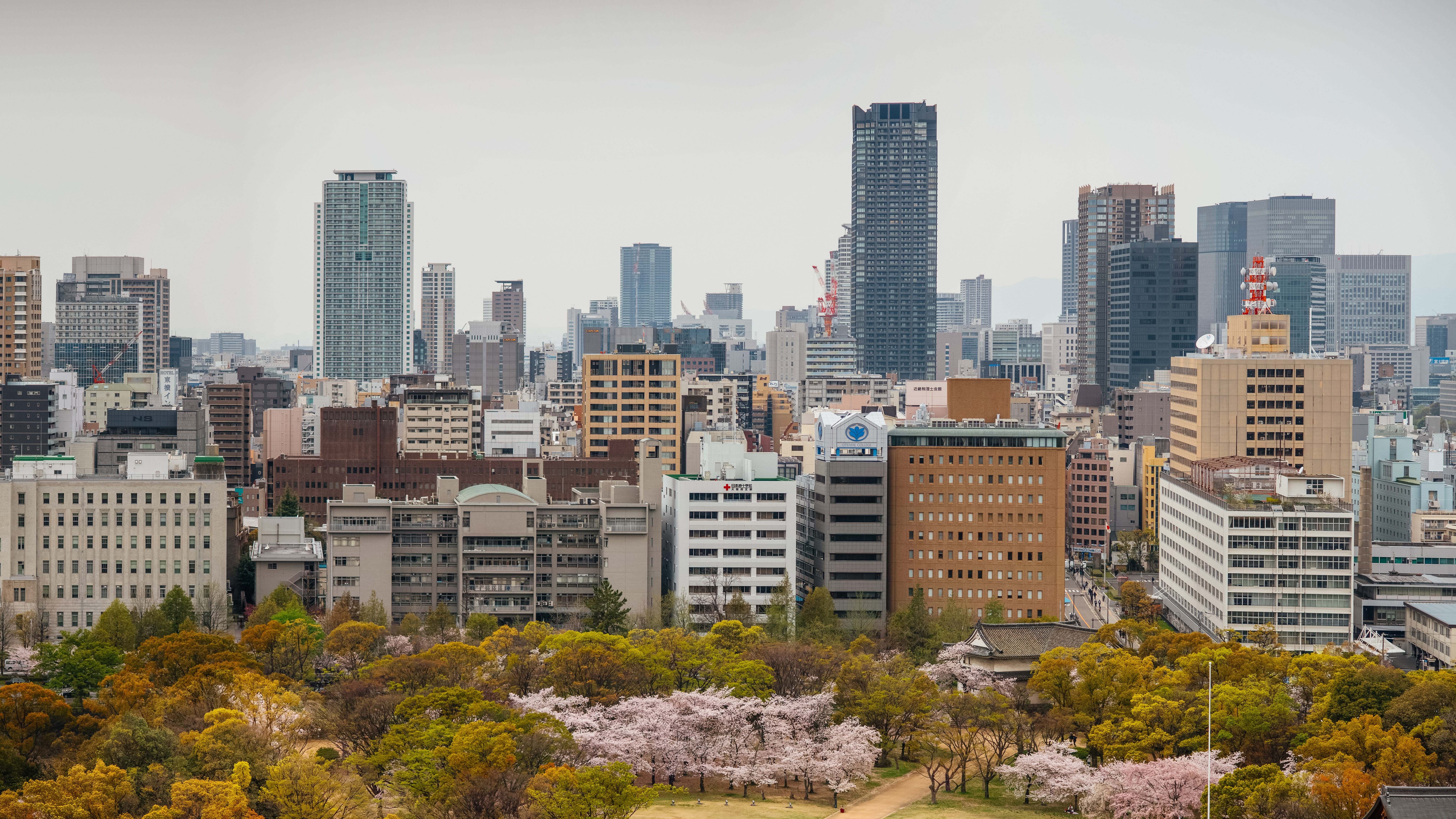 landscape, no people, residential district, plant, building, cityscape, skyline, urban skyline, building exterior, outdoors, park, 5K, castle, city, financial district, HD Wallpaper