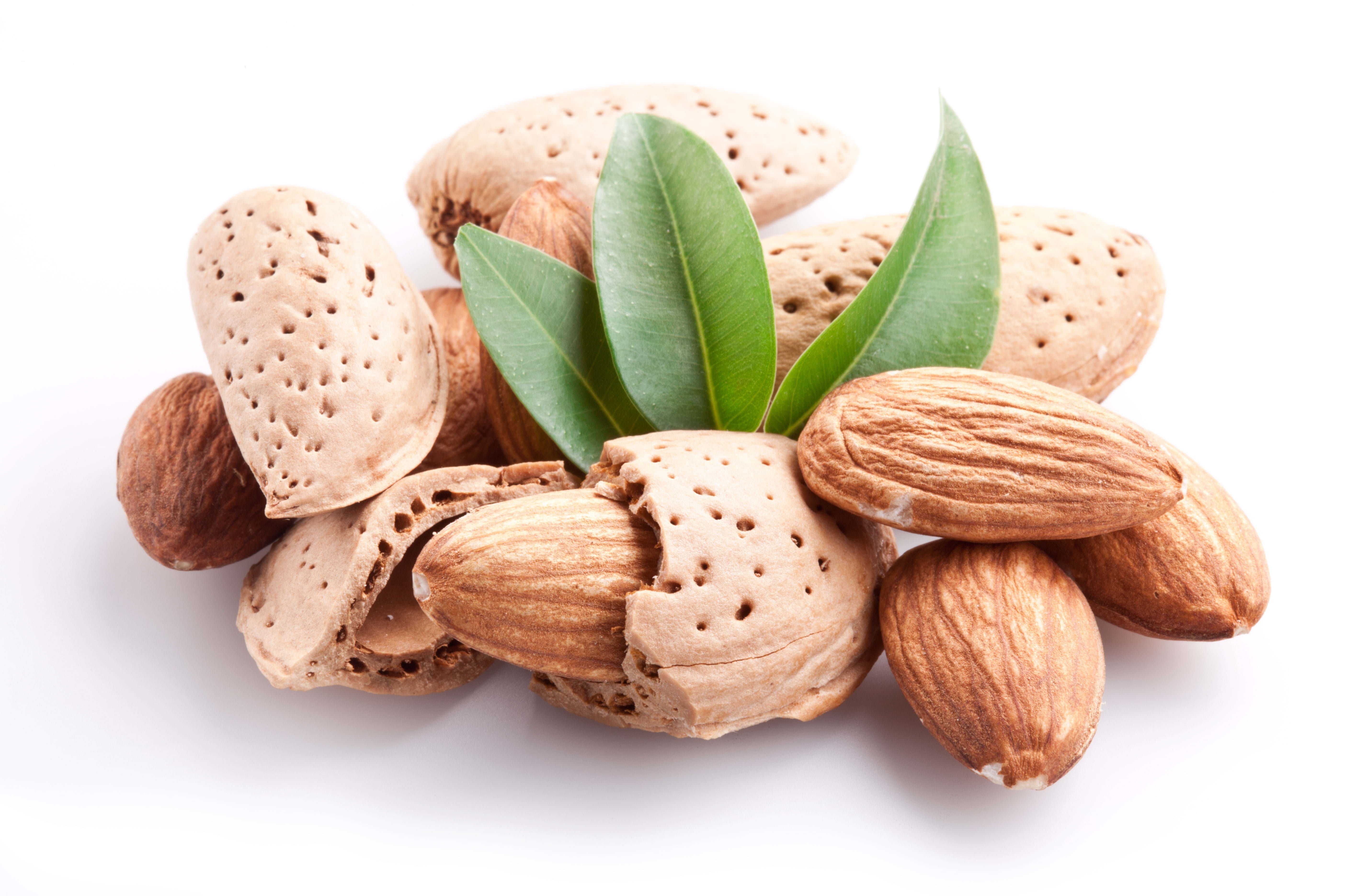 nut, nutshell, seed, healthy Eating, isolated On White, no People, cut out, shells, nut - Food, 5K, almonds, studio Shot, food And Drink, snack, leaf, HD Wallpaper