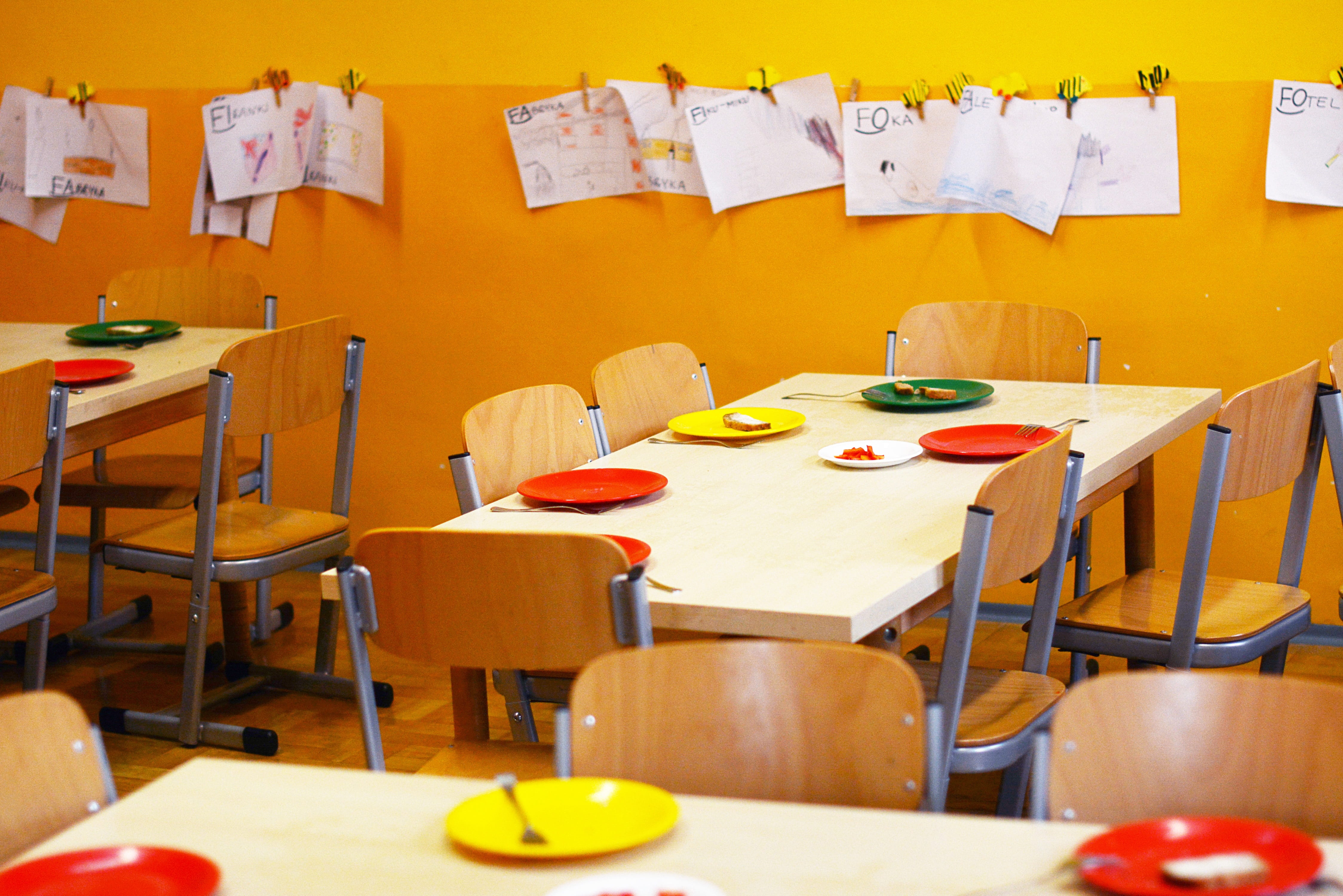 indoors, furniture, education, desk, pictures, food and drink, arrangement, absence, musical instrument, children, table, colour, Kindergarten, science, HD Wallpaper