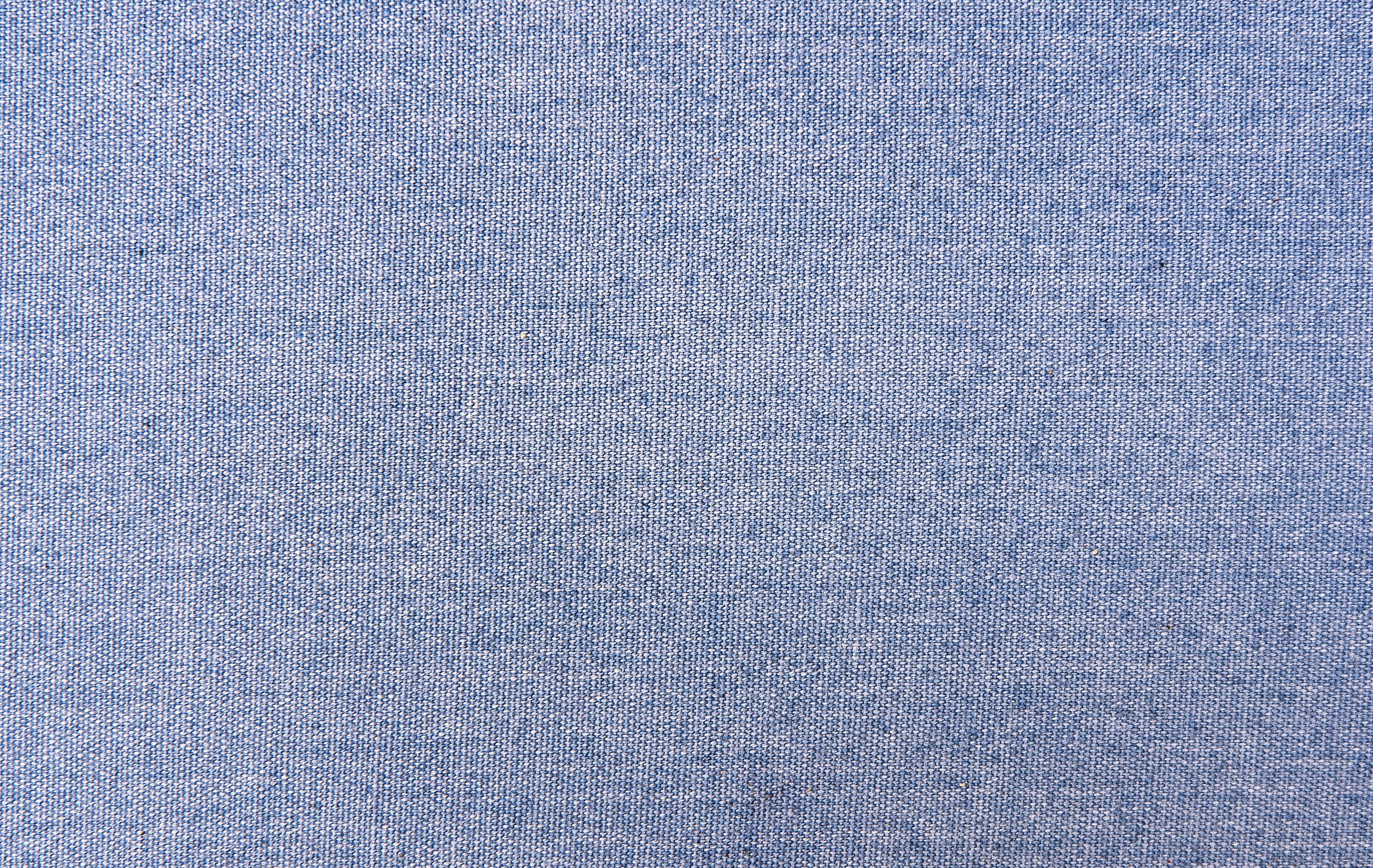pants, plant, home decor, apparel, jeans, no people, food, clothing, pattern, woven, copy space, blue, texture, backgrounds, denim, abstract, blueberry, HD Wallpaper