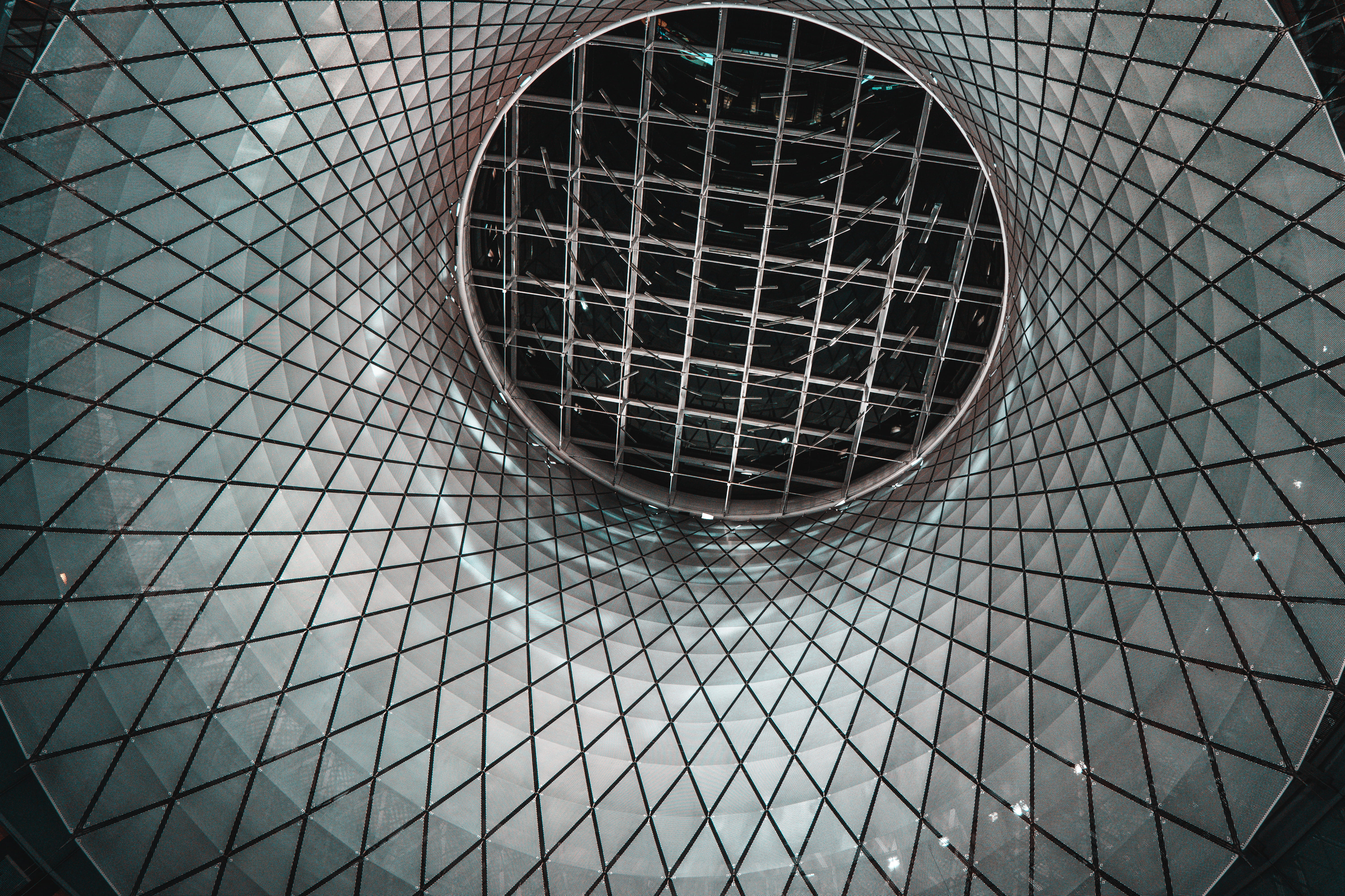 design, pigeon, headlight, fire screen, 5K, speaker, animal, modern, no people, built structure, geometric shape, prison, circle, symbol, grille, directly below, HD Wallpaper