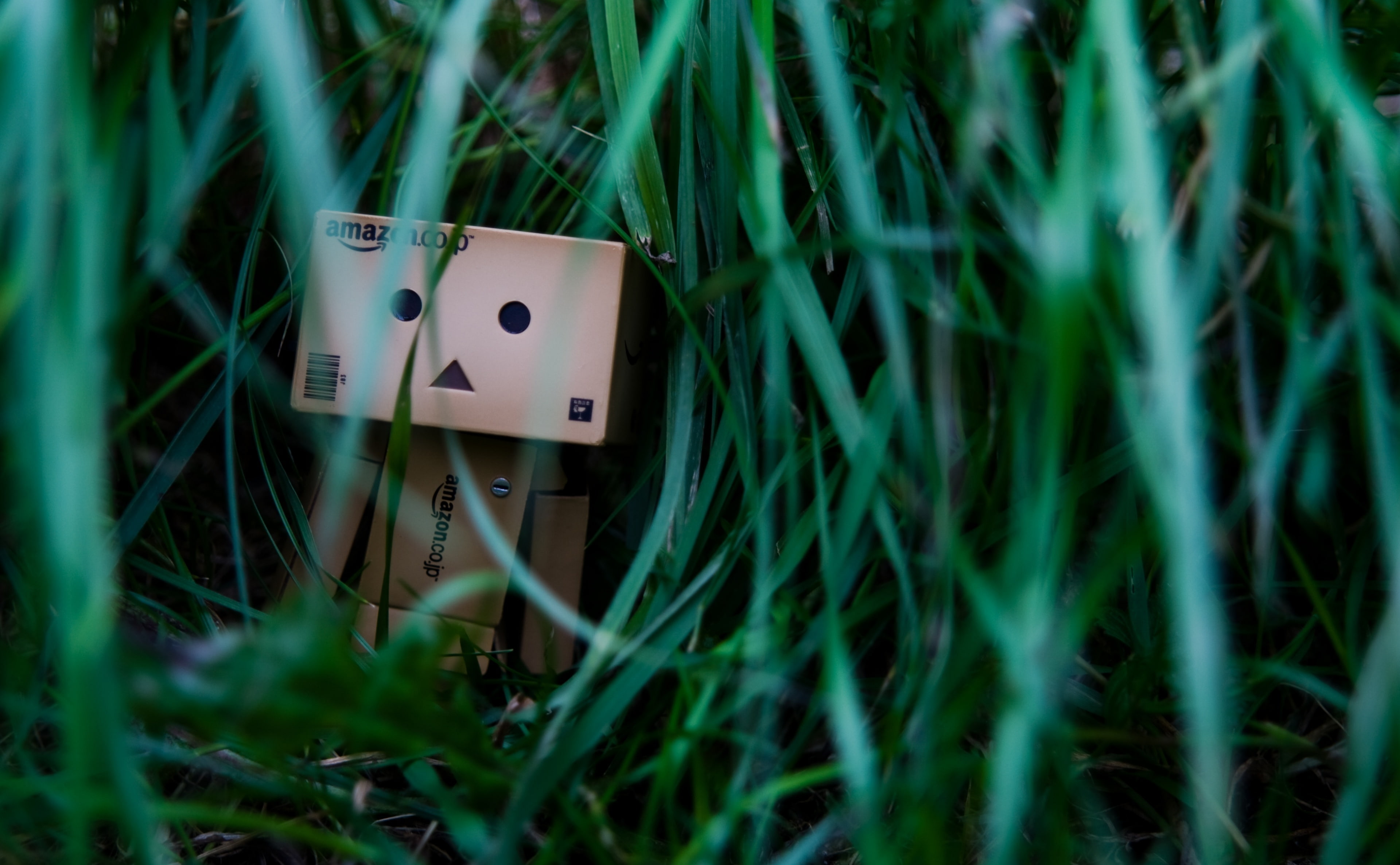 outdoors, plant, 4K, dambo, anthropomorphic face, land, lonely, selective focus, green color, day, box, nature, field, face, Grass, smiling, human representation, HD Wallpaper