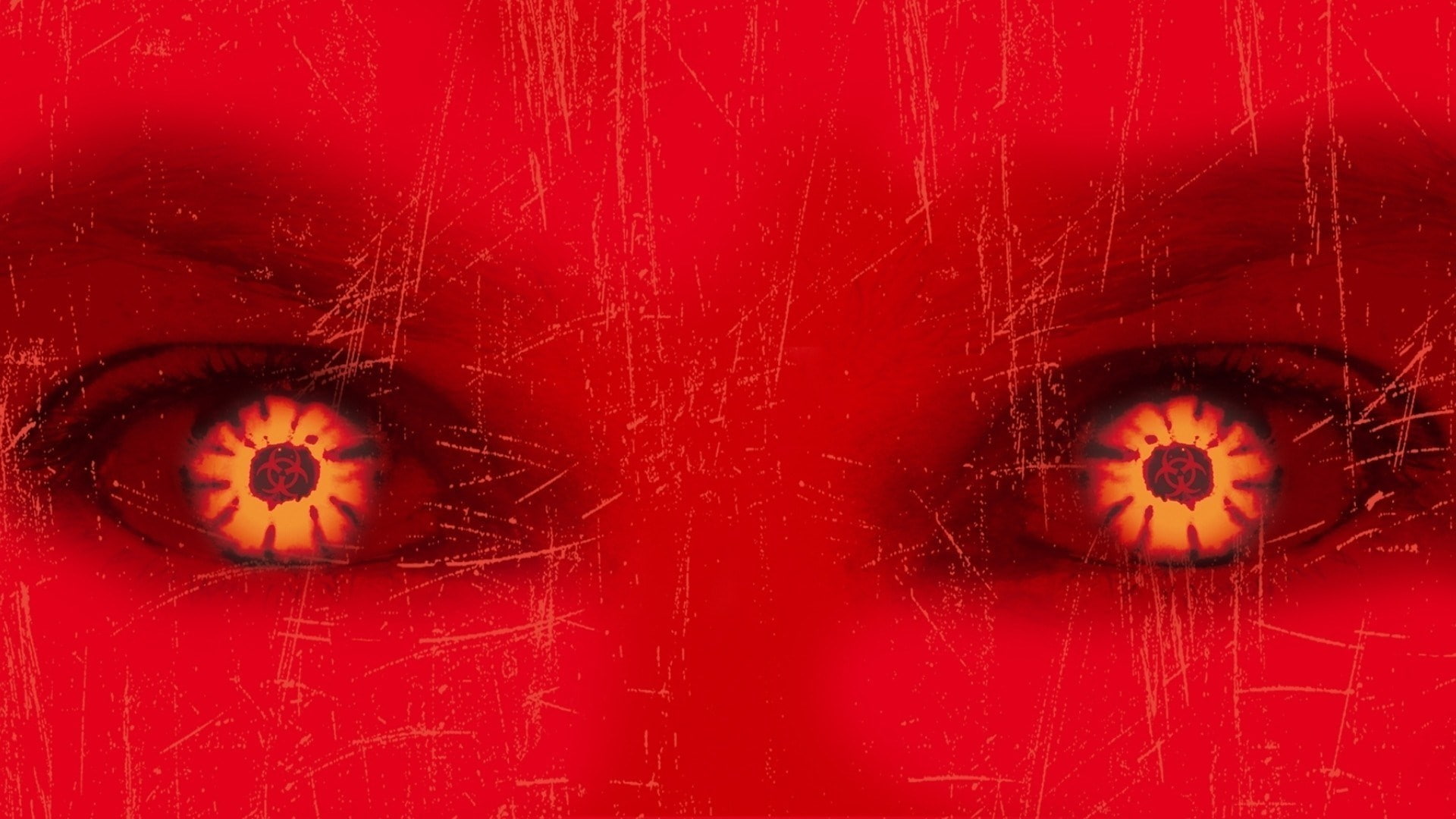 close-up, red, invertebrate, studio shot, fragility, no people, damaged, food and drink, food, colored background, 1080P, slice, full frame, backgrounds, HD Wallpaper