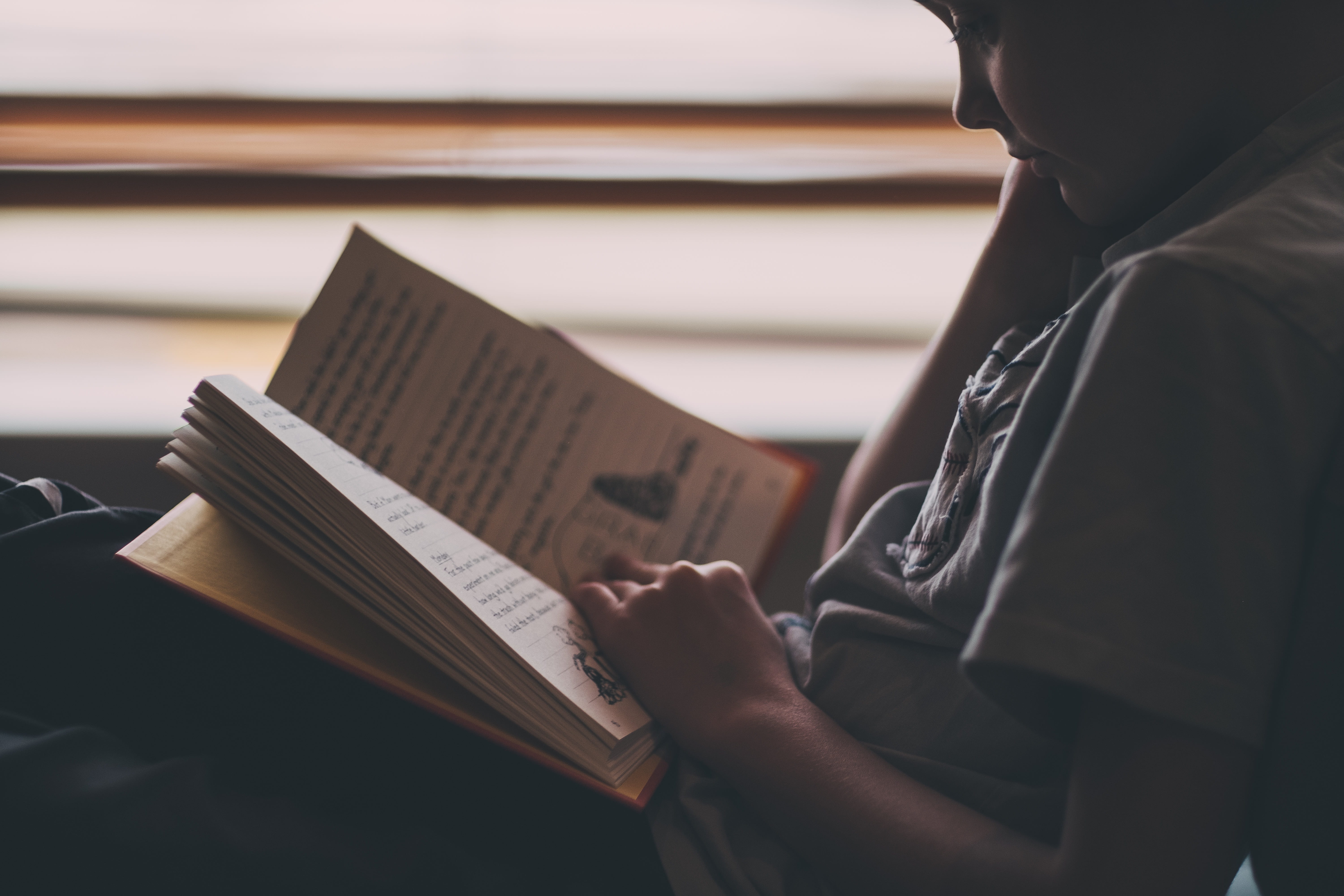 studying, 5K, activity, dark, one person, learning, person, book, study, paper, boy, child, holding, publication, gray, education, adult, indoors, close-up, HD Wallpaper