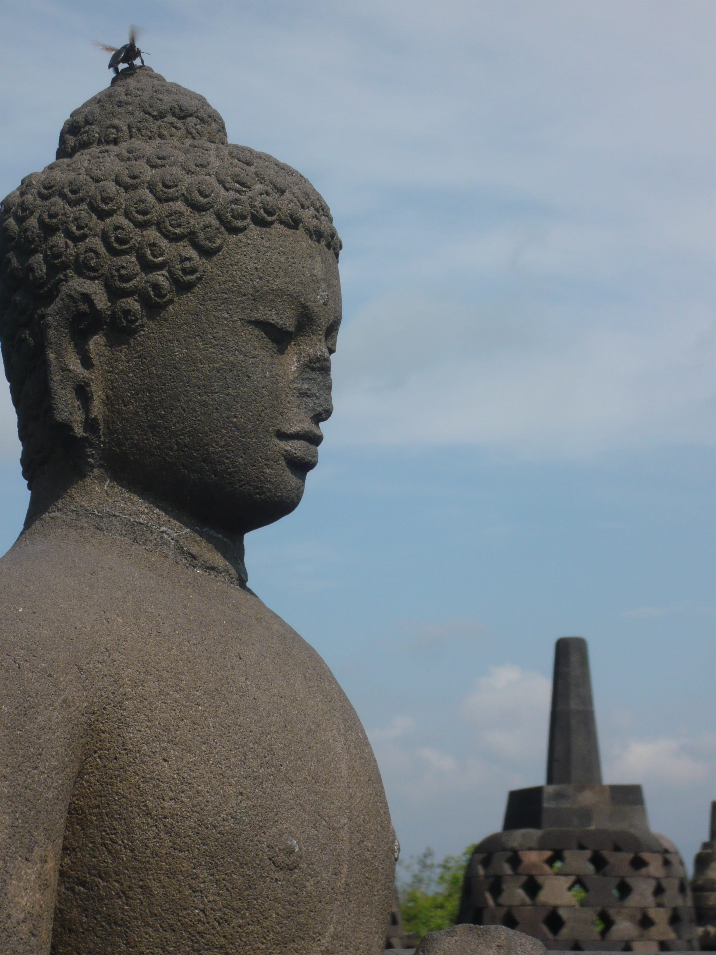 male likeness, statue, art and craft, travel, ancient civilization, tourism, architecture, buddha statue, belief, spirituality, idol, sky, craft, religion, Phone HD Wallpaper