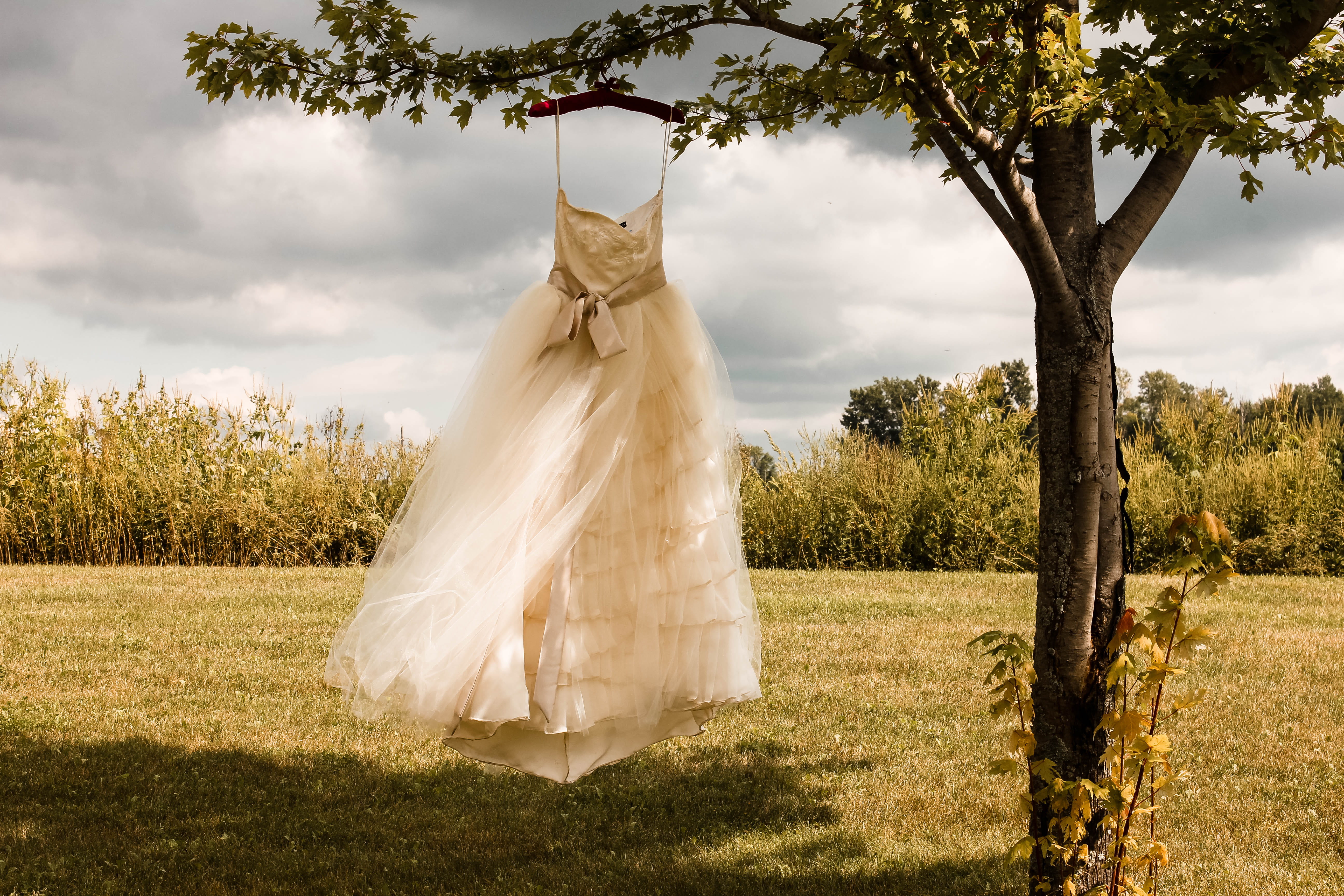 clothing, wedding gown, outdoors, flower arrangement, nature, sky, evening dress, growth, event, wedding dress, apparel, field, 5K, white color, life events, HD Wallpaper