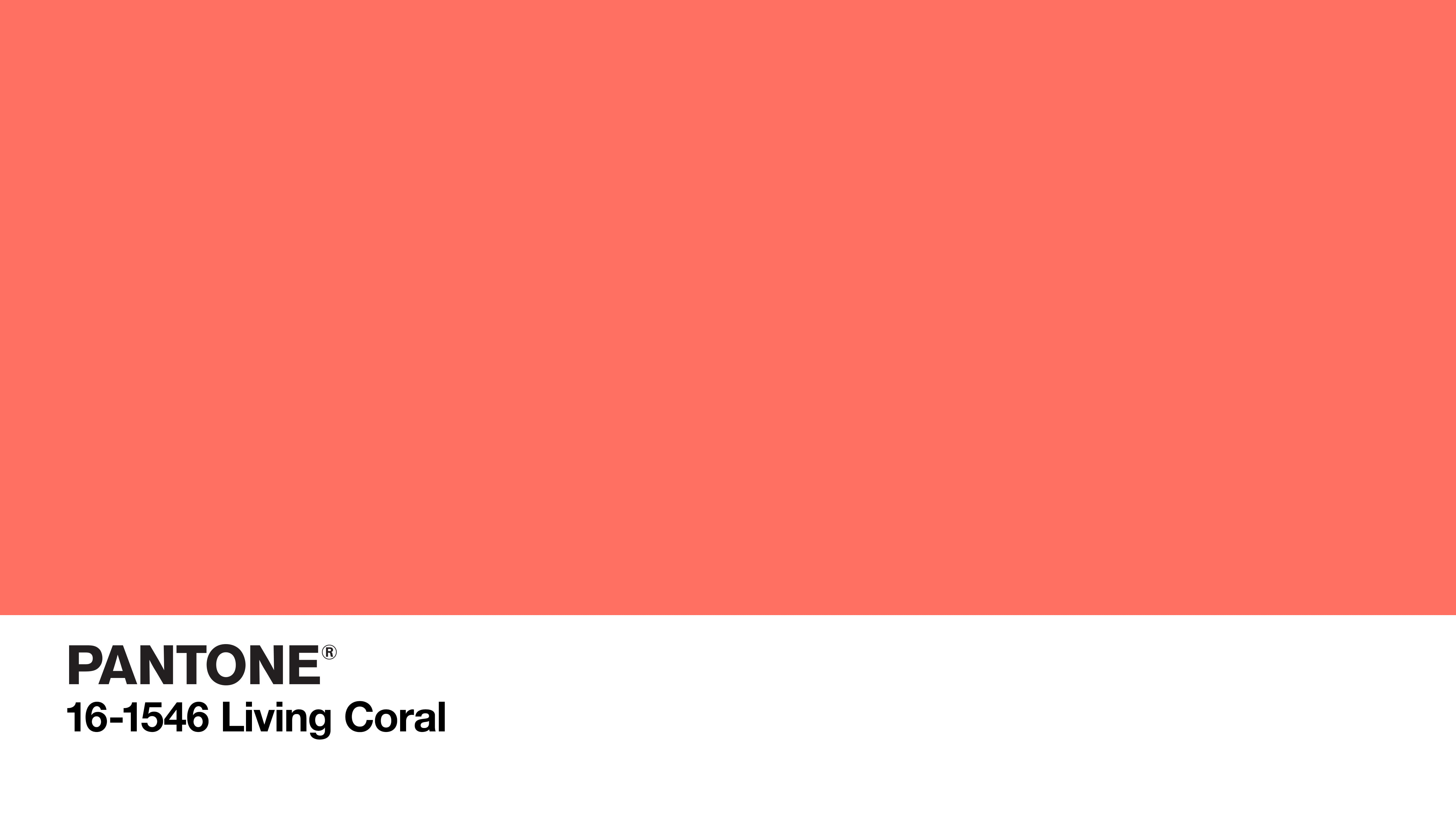 color codes, logo, minimalism, colorful, pink, coral, solid color, 5K, HD Wallpaper