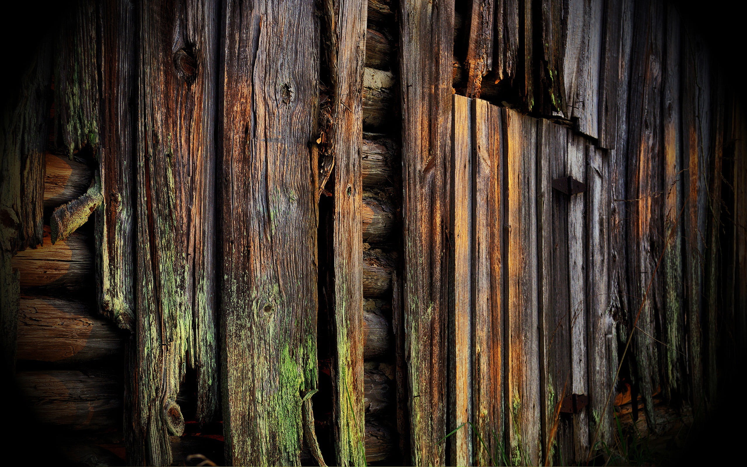 outdoors, old, moss, natural pattern, weathered, backgrounds, textured, day, damaged, pattern, brown, 2K, rusty, no people, wood, safety, full frame, plank, HD Wallpaper