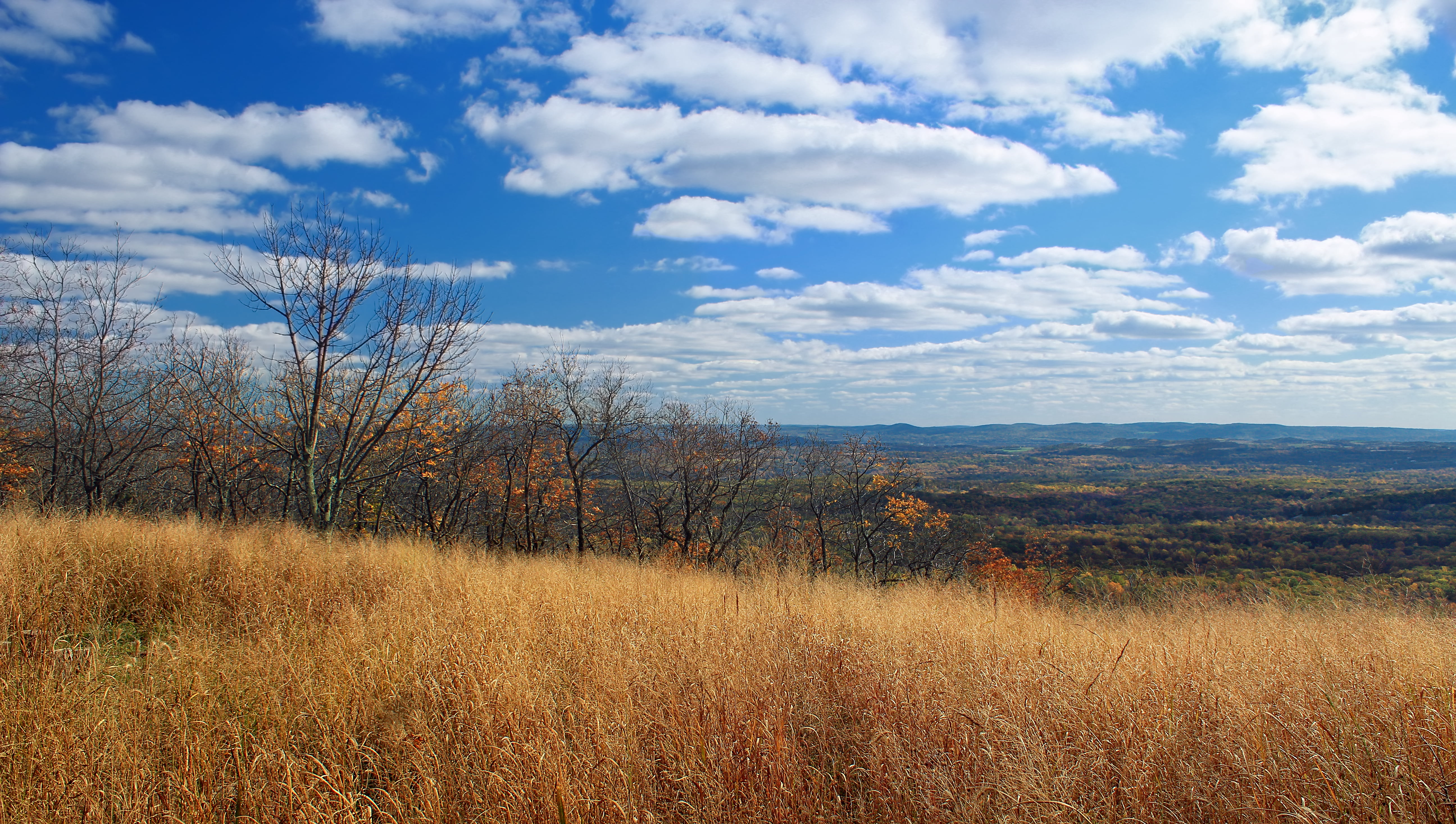 hiking, Appalachian Trail, withered, tree, stratus clouds, forest, Mount Minsi, grass  trees, Delaware Water Gap National Recreation Area, Blue Mountain, HD Wallpaper