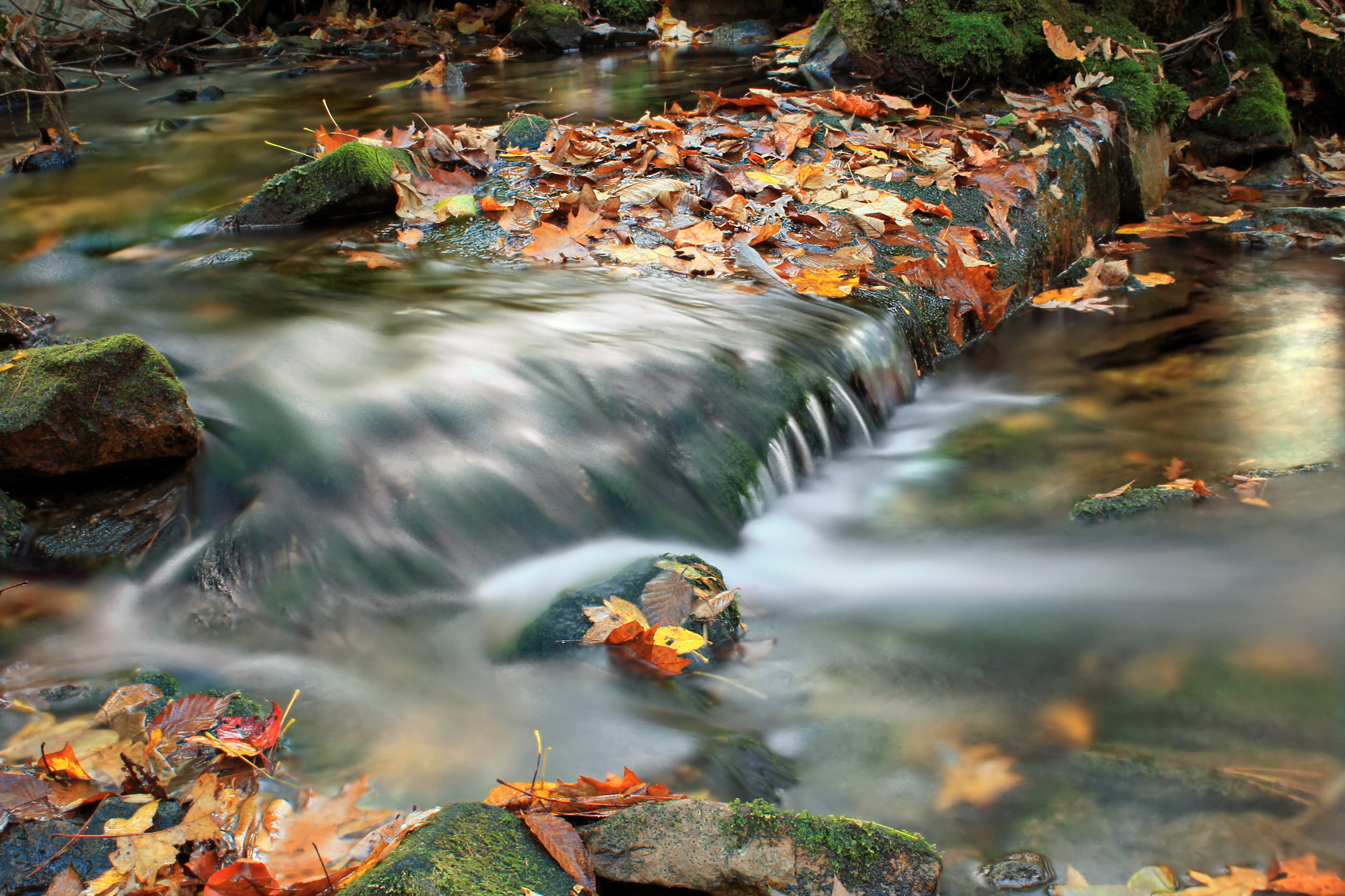 river, Hollow, Mountain, creative commons, time, rocks, Huntingdon County, 5K, outdoors, cascades, Natural Area, Area, Revisited, forest, photography, HD Wallpaper