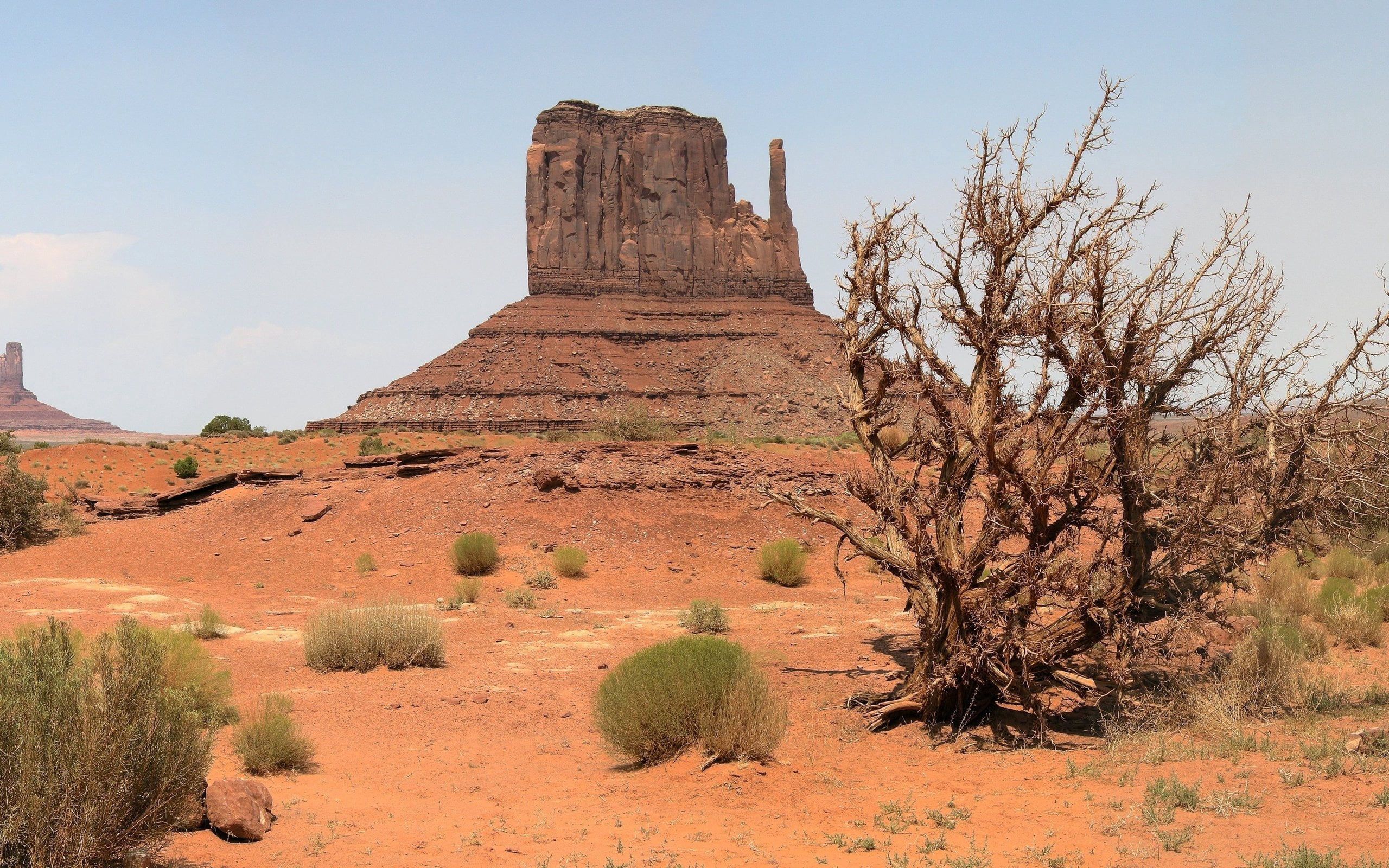 land, climate, beauty in nature, arid Climate, rock, drought, tranquil scene, semi-arid, outdoors, scenics, national Landmark, tree, extreme Terrain, monument Valley Tribal Park, HD Wallpaper