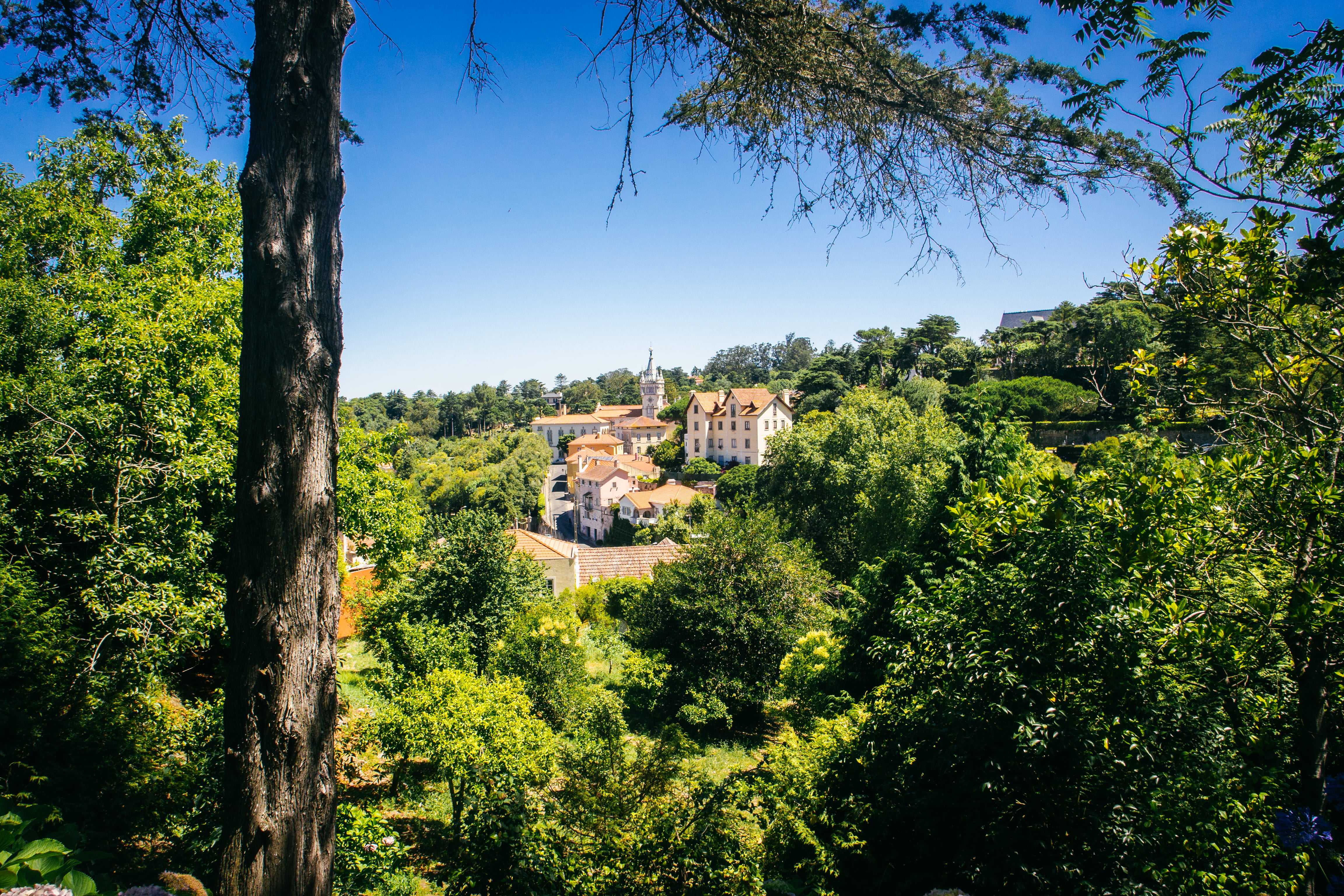 4K, green color, tree trunk, built structure, house, jungle, tree, building exterior, beauty in nature, residential district, clear sky, trees, countryside, HD Wallpaper
