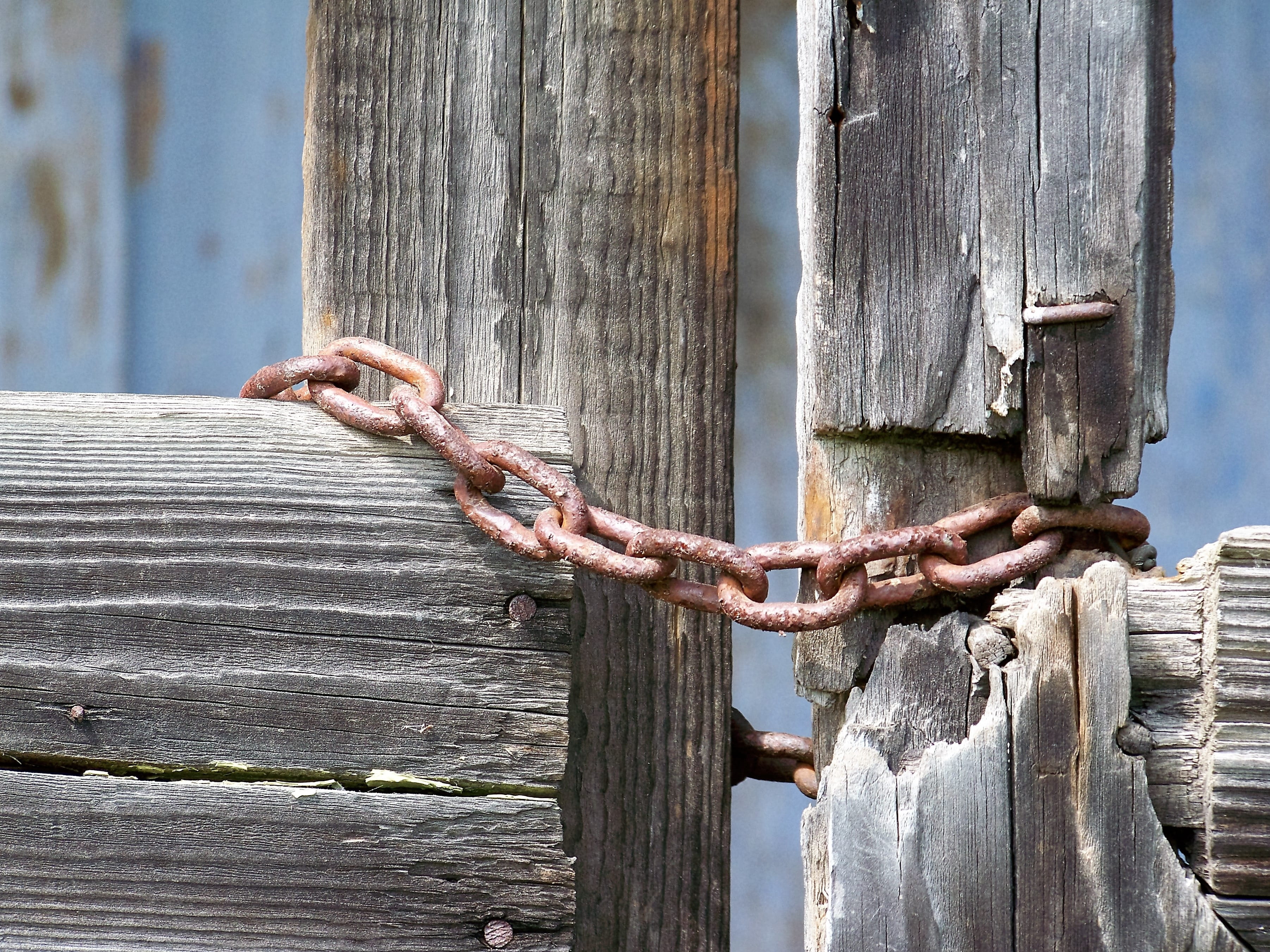 Old, outdoors, Tree, security, no people, holes, safety, entrance, old buildings, Texture, human body part, day, weathered, the structure of the, Chain, HD Wallpaper