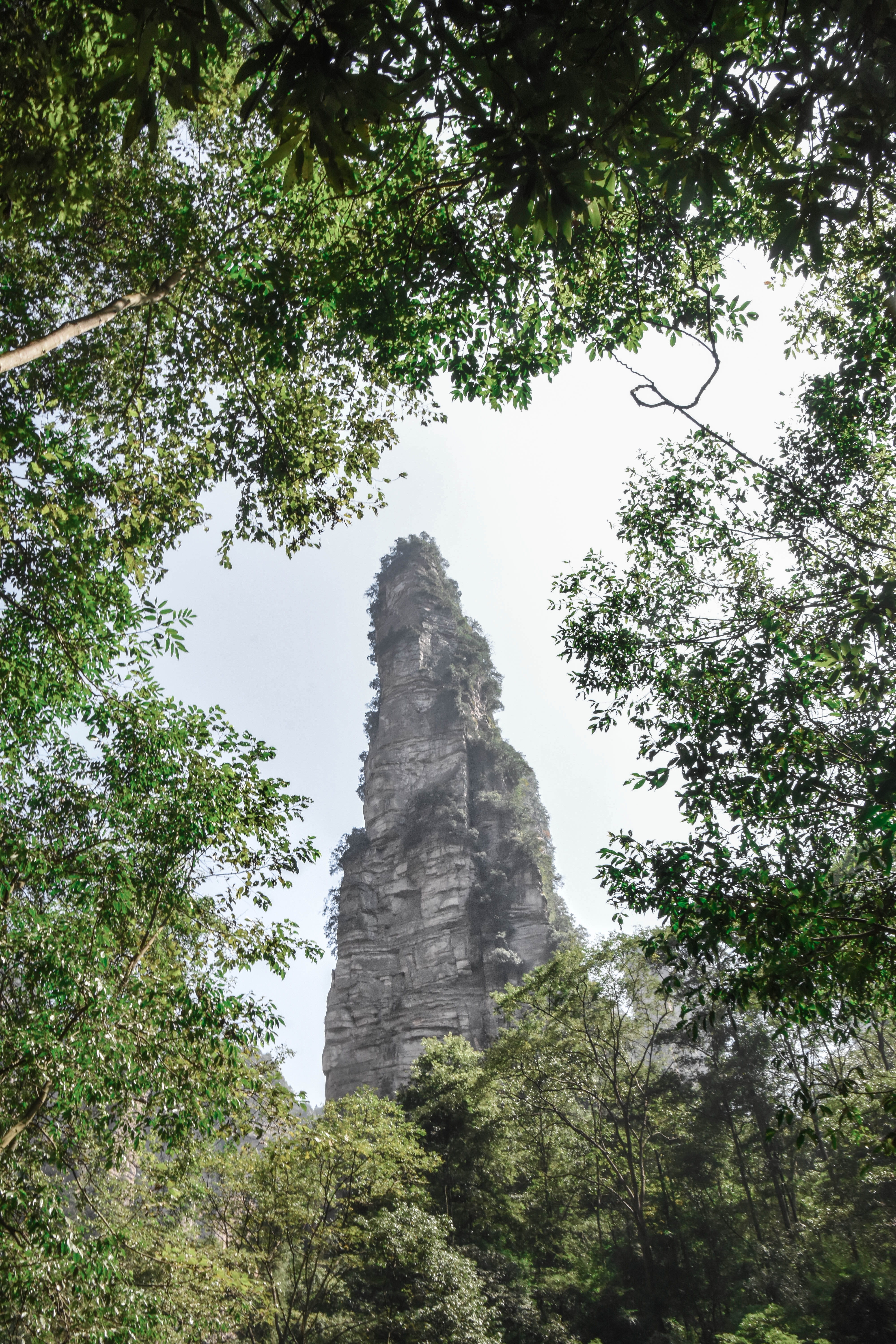 beauty in nature, building, 5K, travel, sky, forest, abies, arbour, religion, growth, formation, garden, rock - object, photography, low angle view, vase, Phone HD Wallpaper