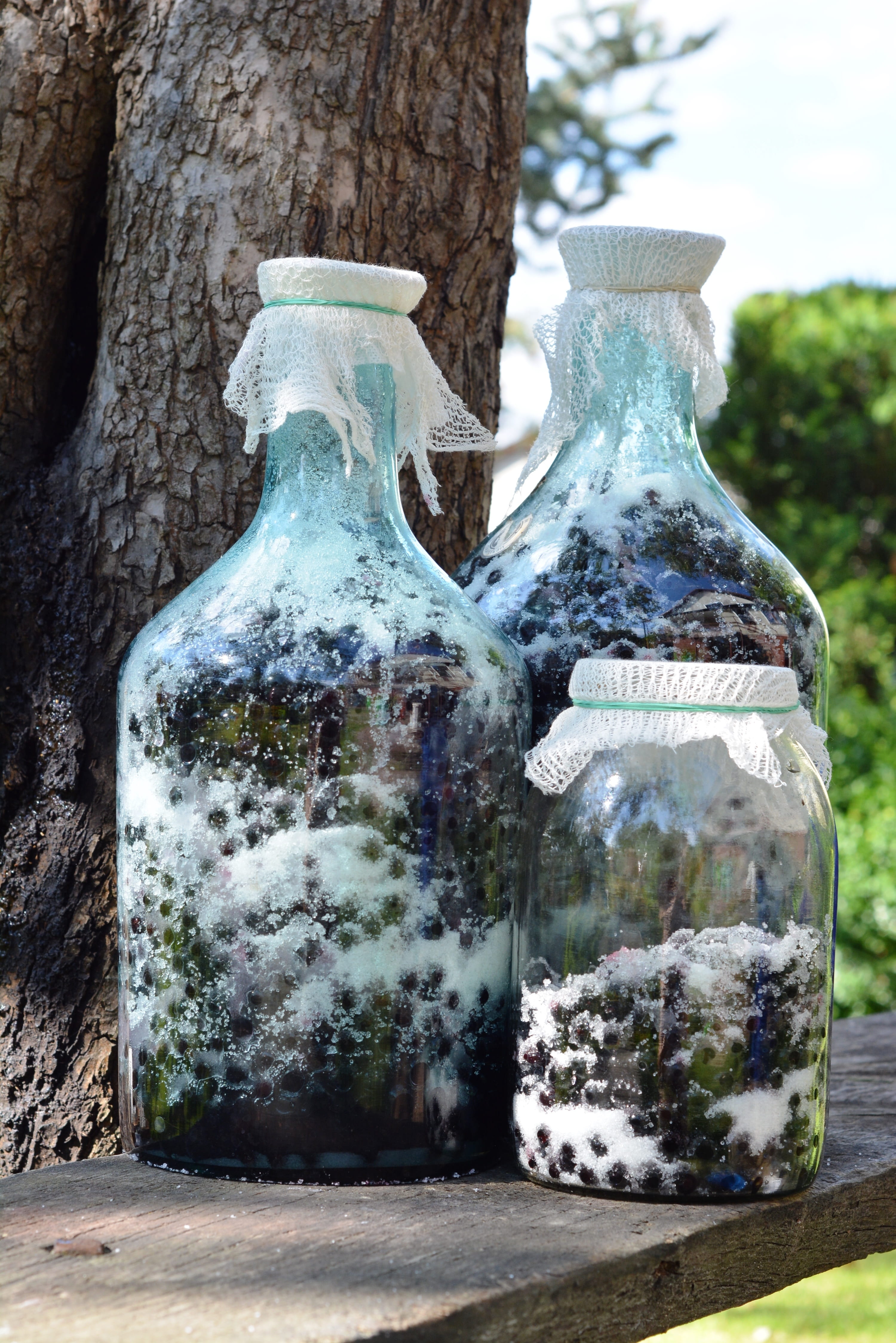 day, mature, food, tree trunk, old, natural, no people, ridge tile, transparent, 4K, focus on foreground, table, juice, jar, carboys, tree, bottle, plant, Phone HD Wallpaper