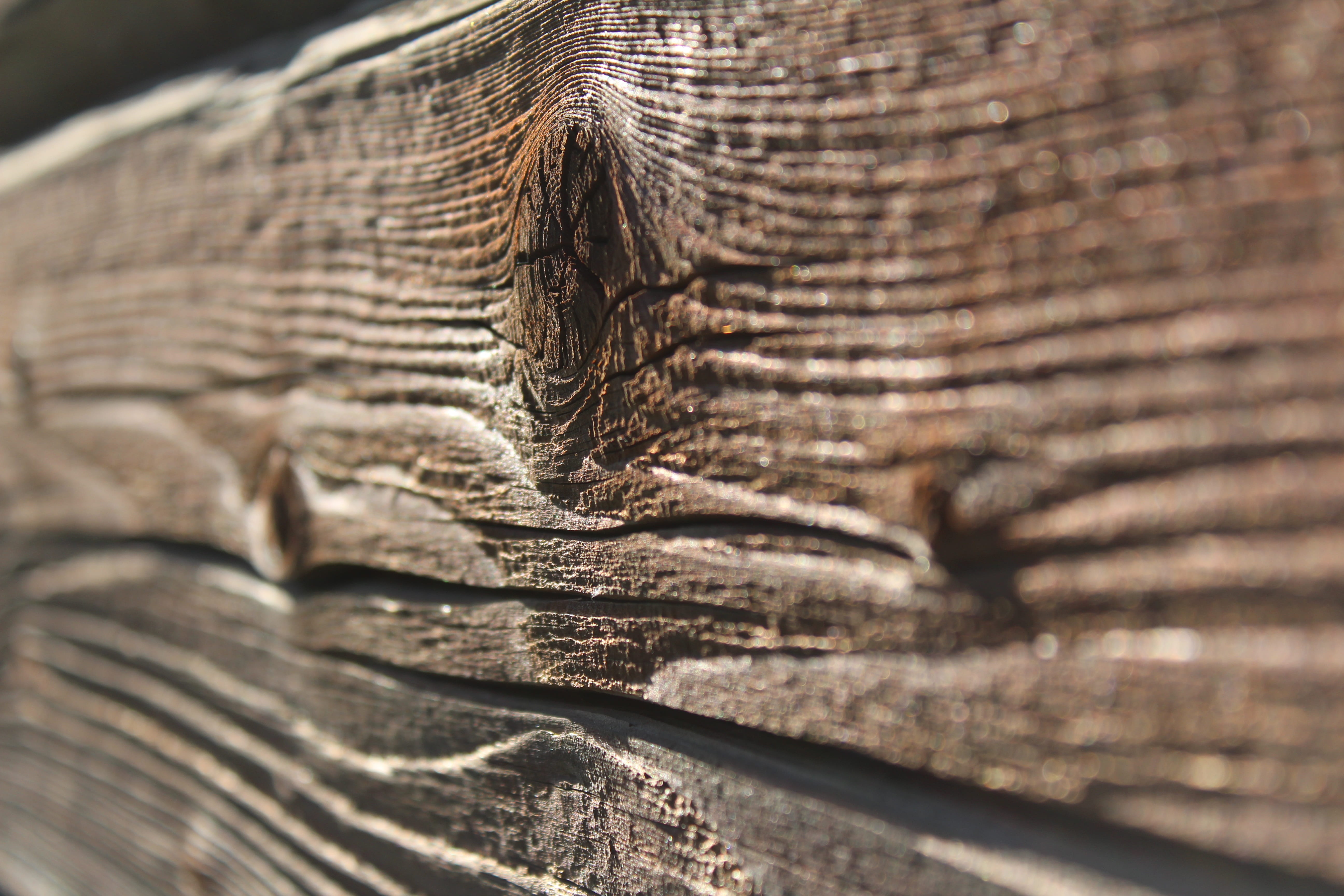 wood grain, old wood, day, pattern, natural pattern, brown, clear, boards, elephant, old, the background, animal themes, sawn timber, animal body part, HD Wallpaper