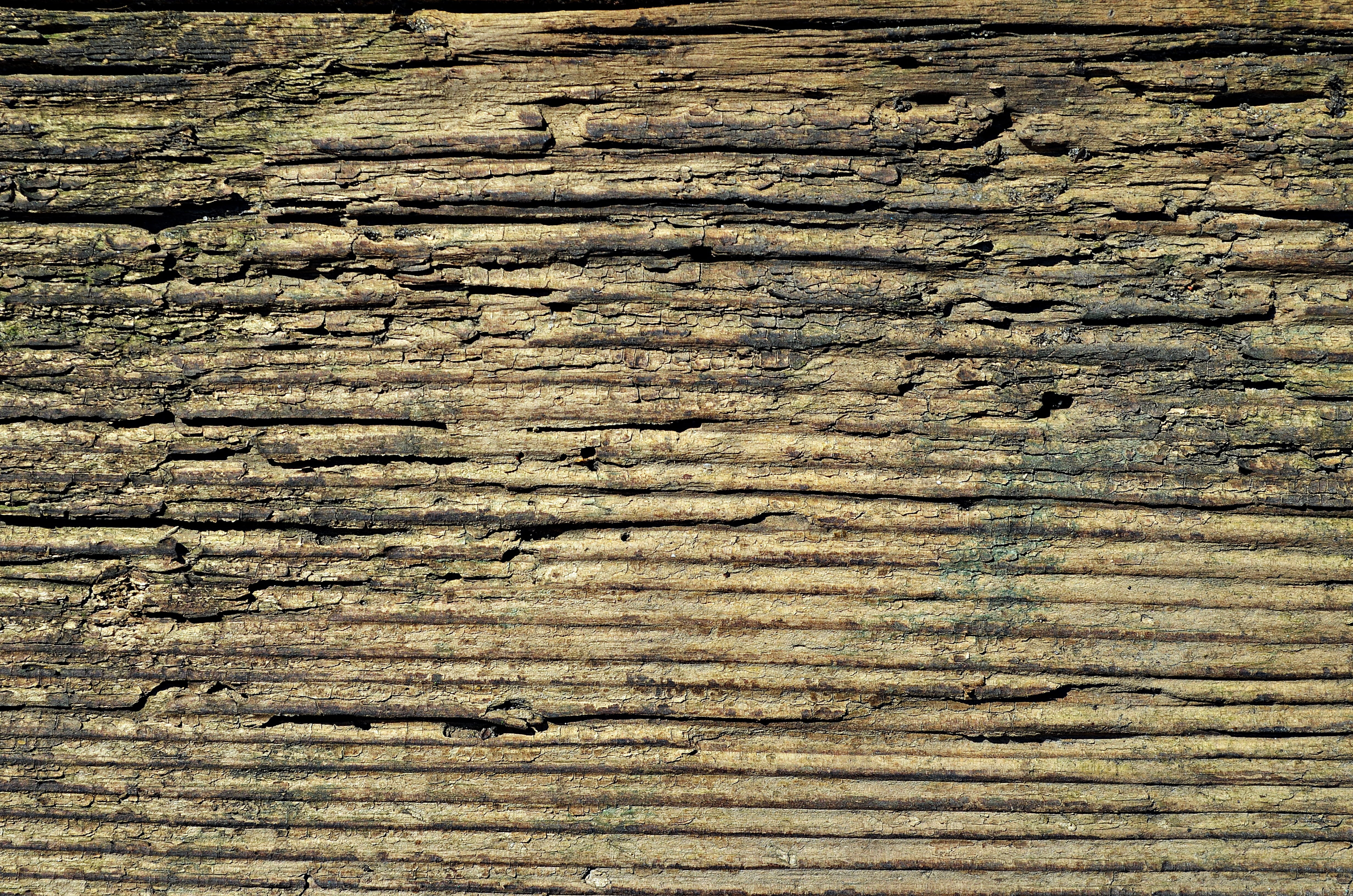 weathered, wooden, sawn timber, wood grain, in a row, wooden planks, the structure of the, abstract, 4K, boards, wall - building feature, natural, wood floors, HD Wallpaper