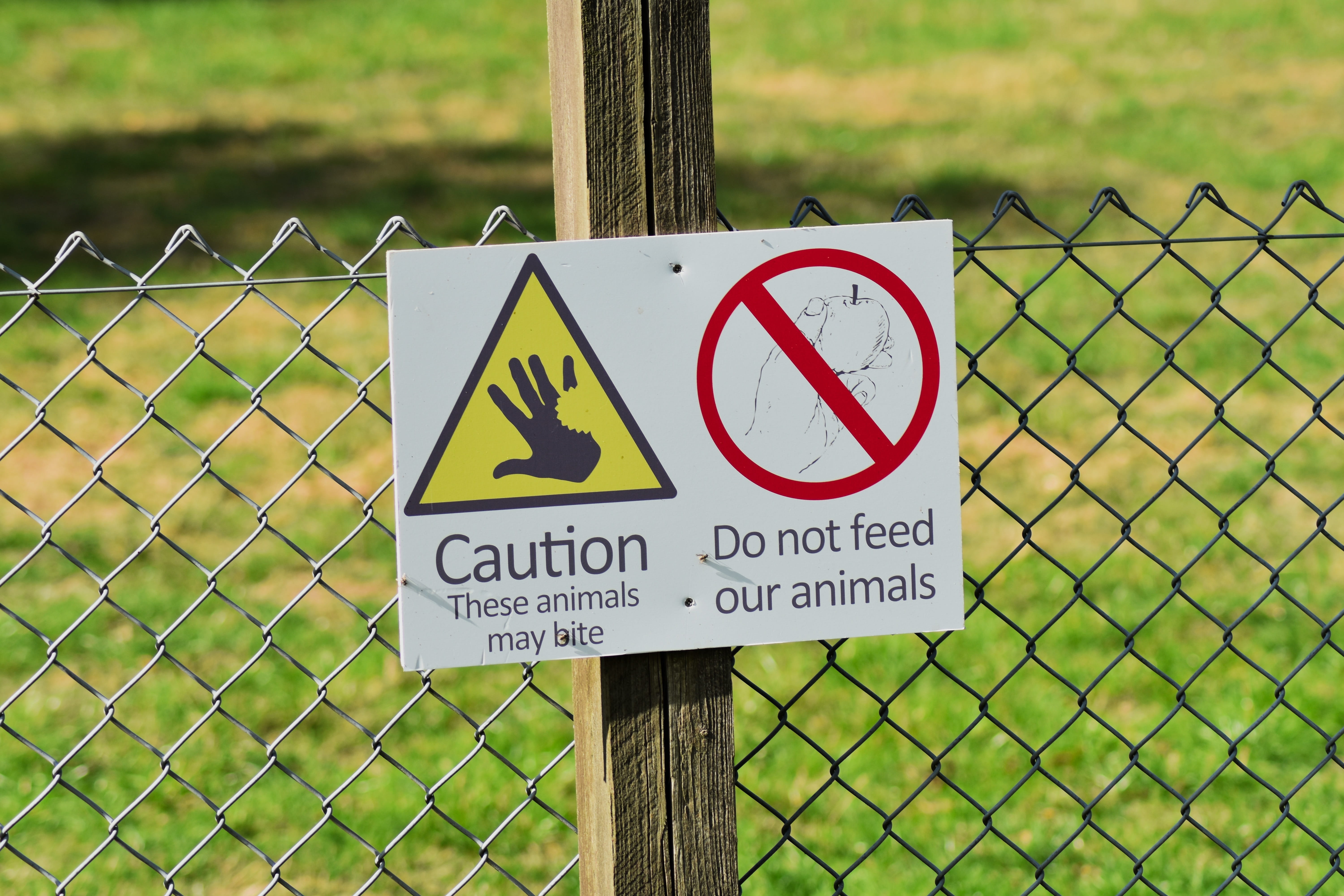 protection, forbidden, beware, text, danger, board, shape, warning symbol, communication, sign, notice, hand, information sign, hazardous, bitten, symbol, HD Wallpaper