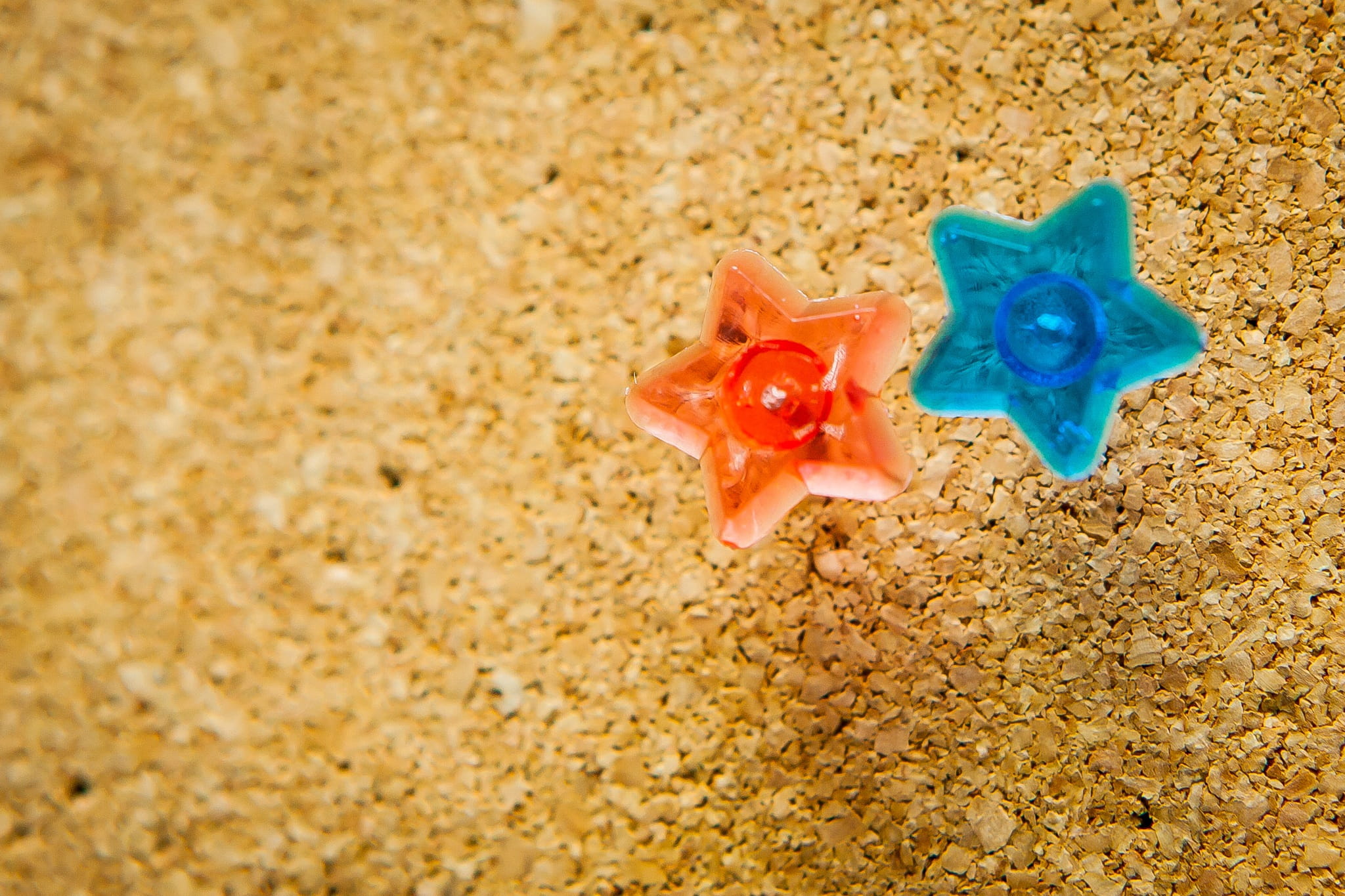 day, animal themes, red, Cork Board, flower, office, shell, 1080P, marine, star, note, water, blue, animals in the wild, animal, sea, nature, outdoors, HD Wallpaper