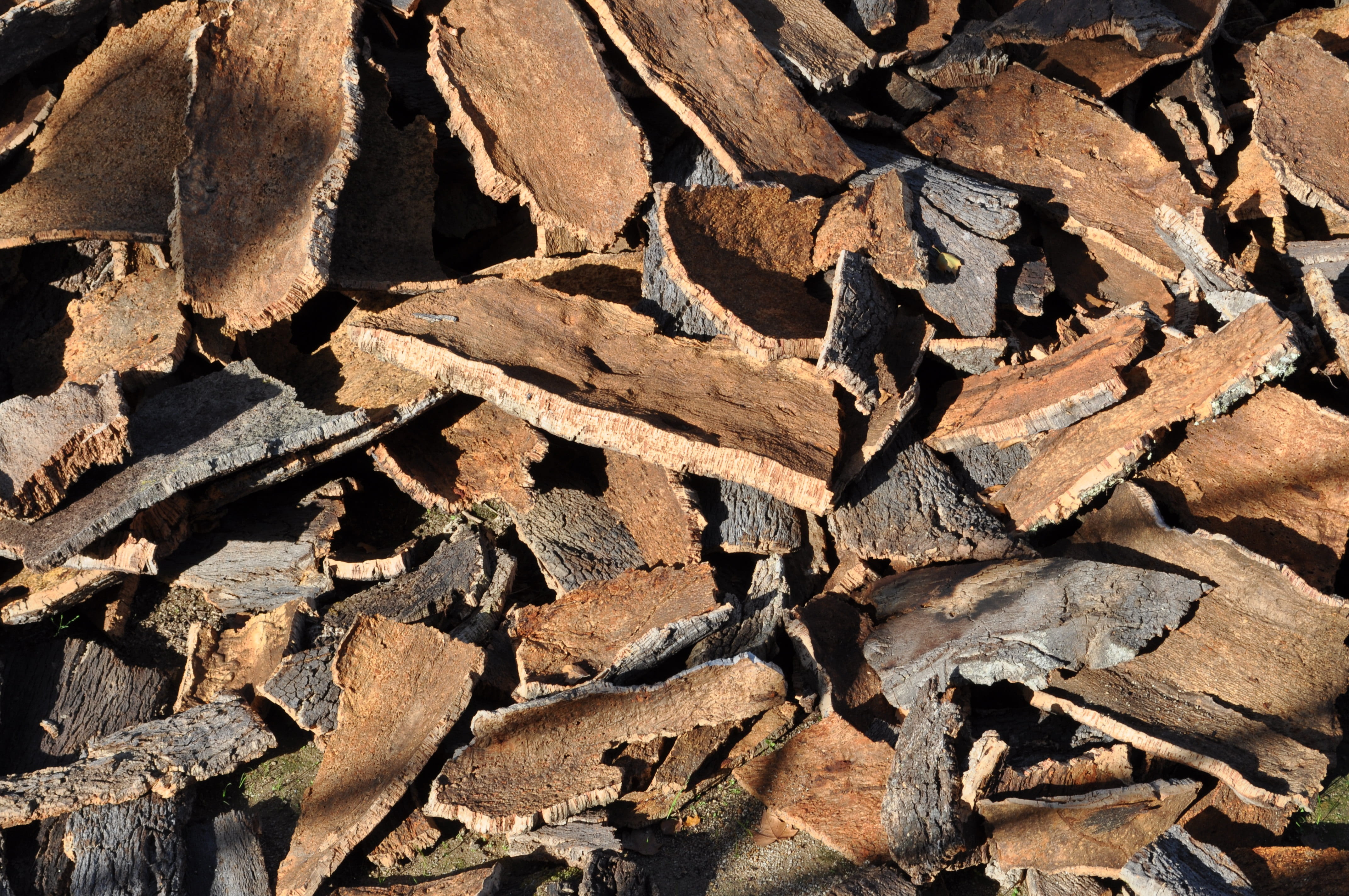 full frame, heap, cork board, close-up, tree, peeled, log, abundance, nature, tree bark, firewood, sunlight, lot, brown, black, no people, outdoors, layer, HD Wallpaper