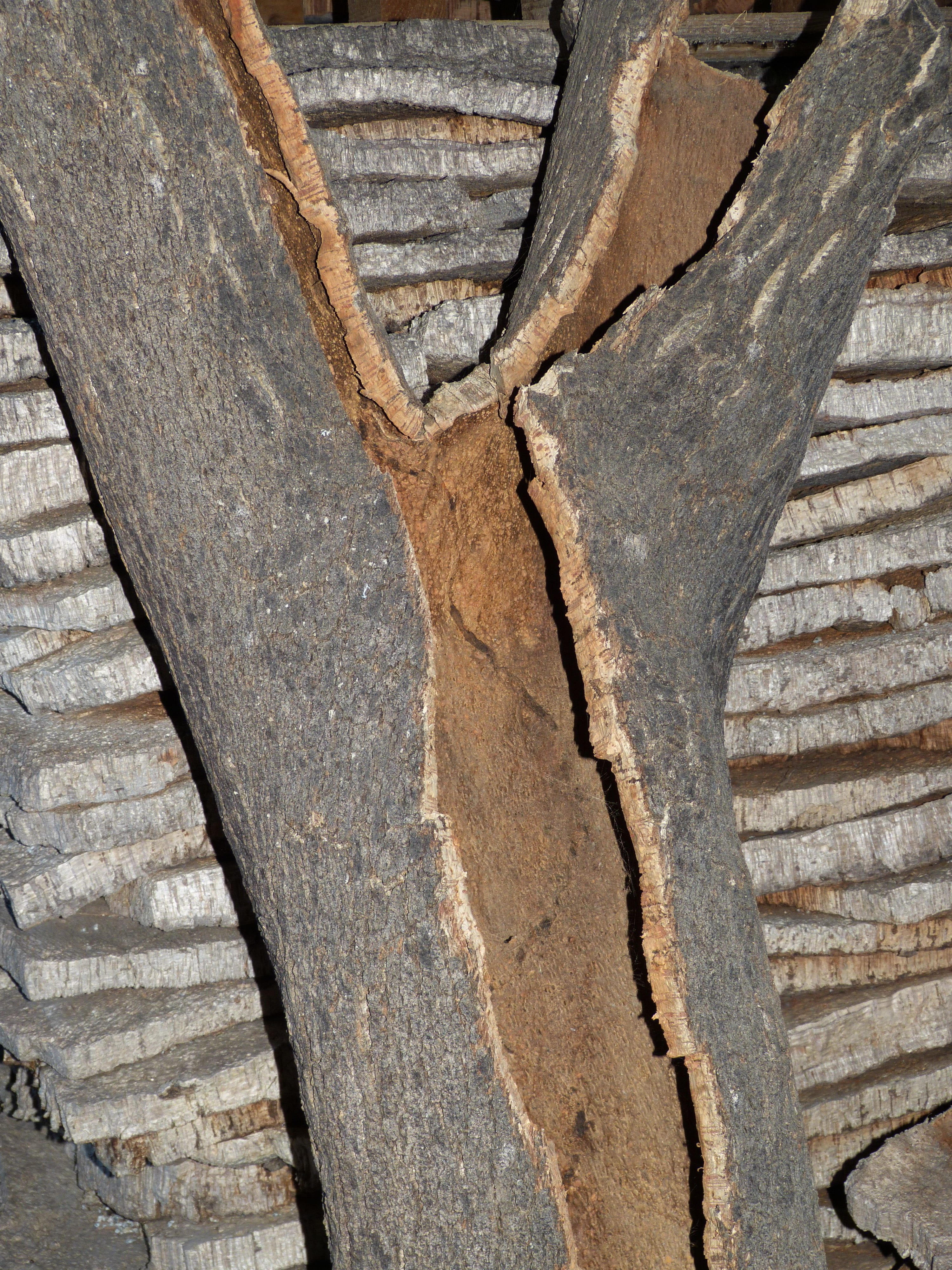 wood - material, day, Wine, weathered, bulletin board, oak, damaged, natural product, textured, architecture, 4K, no people, Bottle, decline, bark, cork, Phone HD Wallpaper