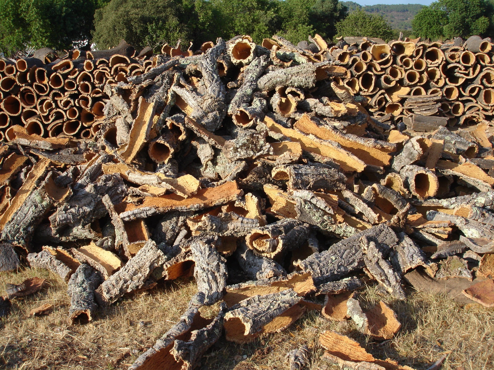 bottle closure, stack, Tree, deforestation, cork, field, cork board, land, tree bark, wine, Nature, close-up, heap, outdoors, timber, Cork Oak, animal themes, HD Wallpaper