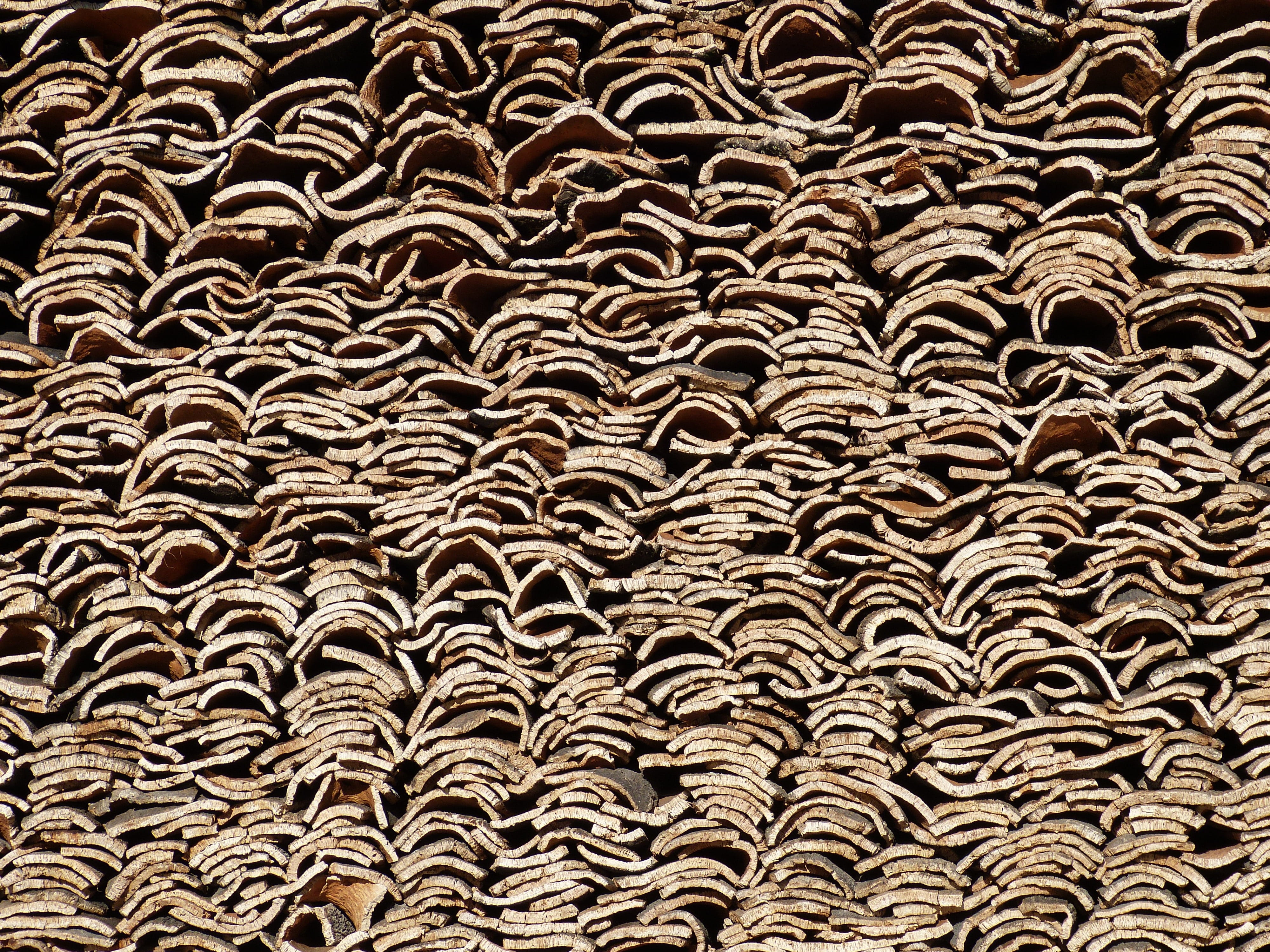 large group of objects, cork, oak, design, Wine, cork oak, abundance, nature, natural product, wine, architecture, textile, textured, full frame, bulletin board, HD Wallpaper