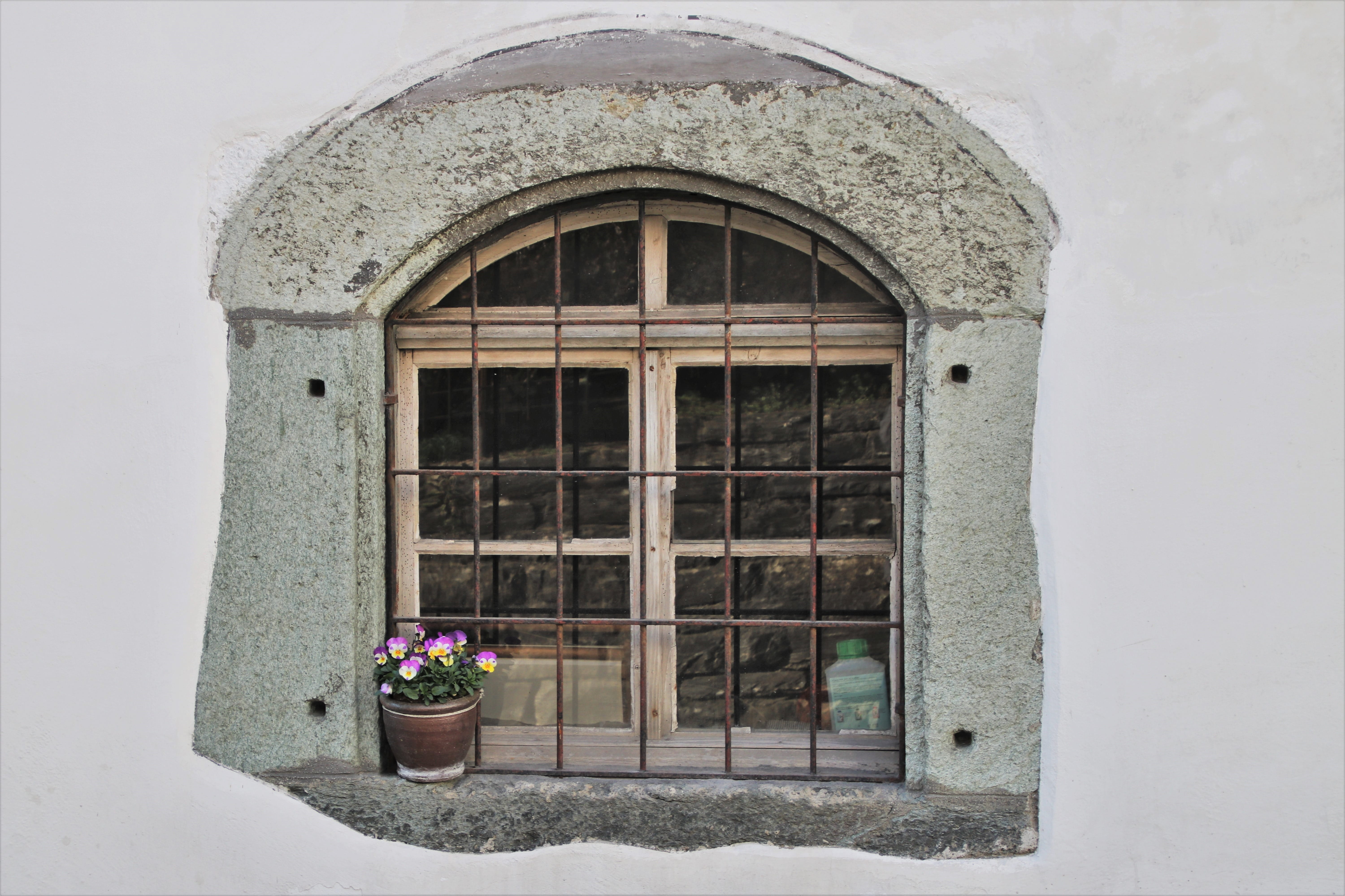 plant, no people, window sill, material, building exterior, security, built structure, flower pot, flowering plant, window, nature, façades, old, architecture, HD Wallpaper