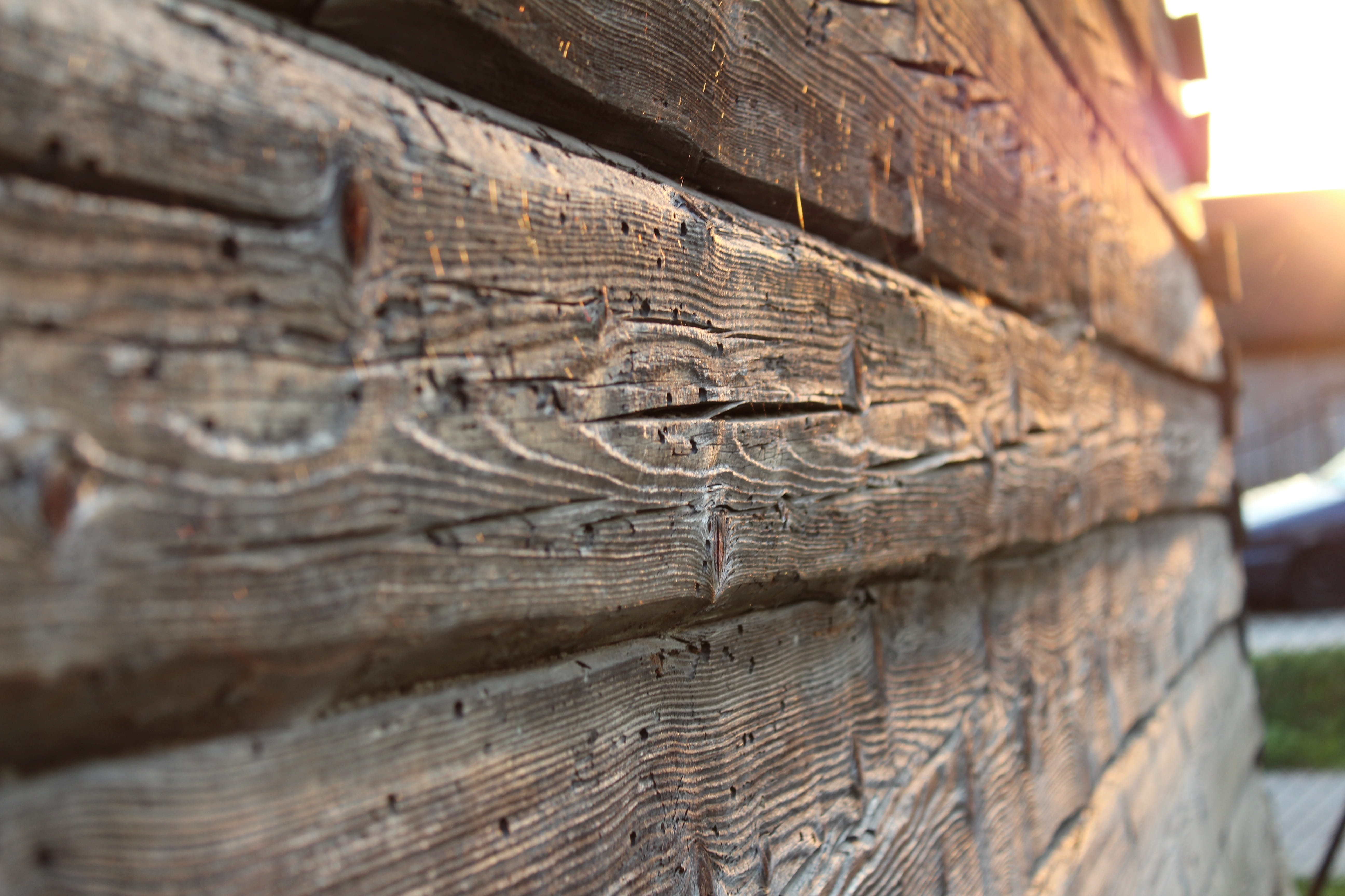 the background, wall, the past, outdoors, wood - material, 5K, selective focus, day, harsh, tree, old, architecture, place of worship, wall - building feature, HD Wallpaper
