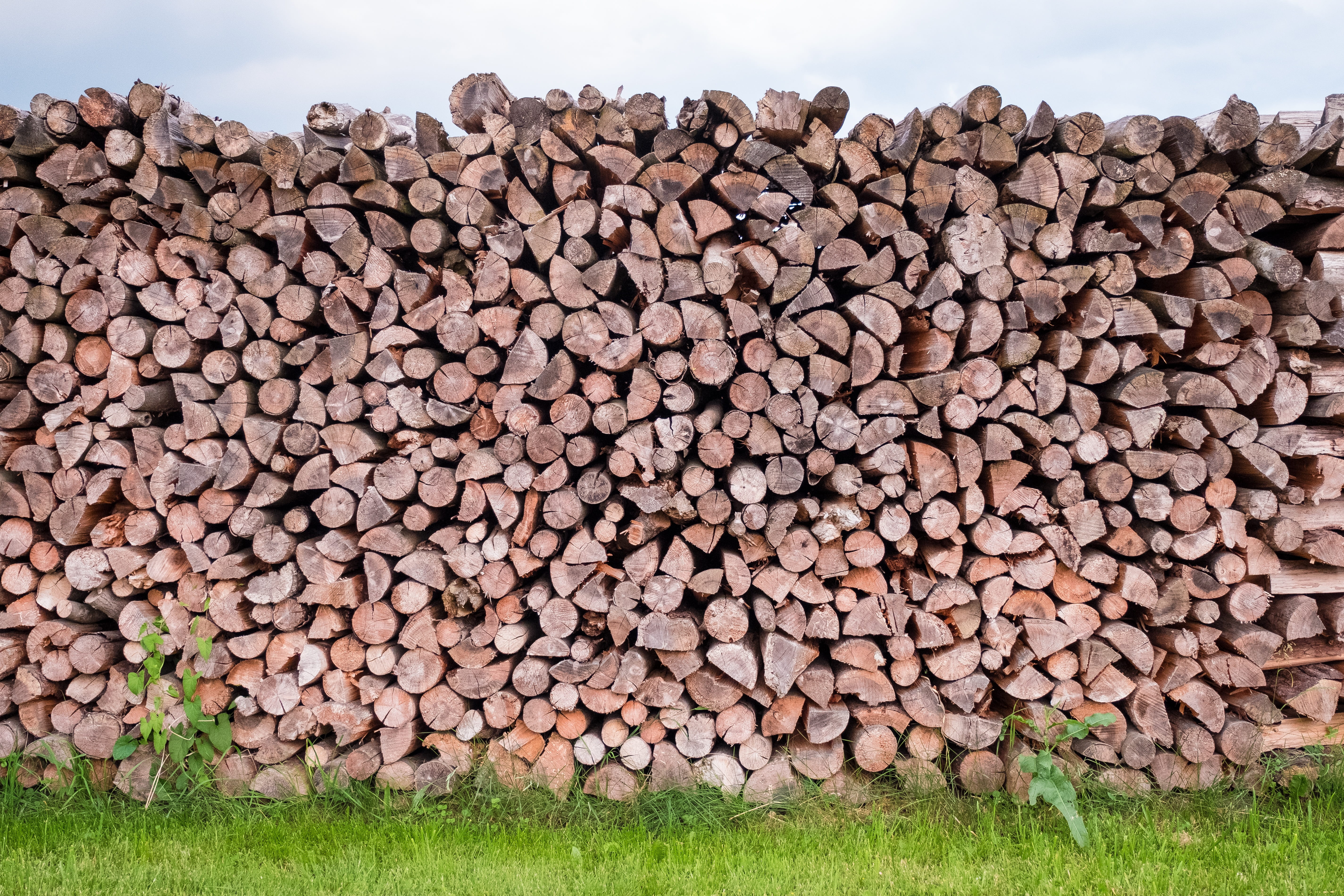 no people, heat, wood, fuel and power generation, wood - material, deforestation, grass, stack, bavaria, fire, plant, growing stock, bohlen, outdoors, log, HD Wallpaper