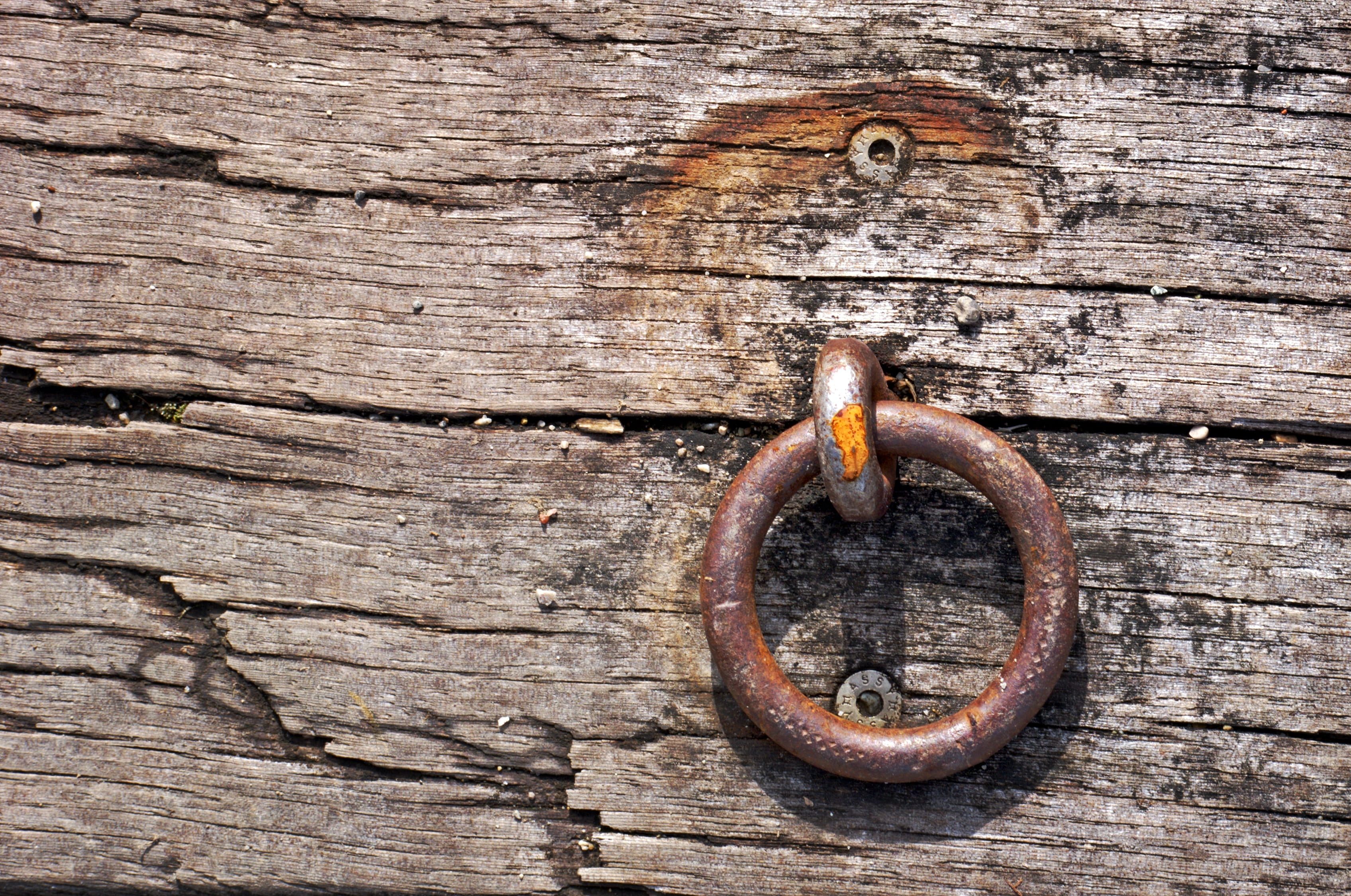 wood, metal ring, eyelet, no people, nail, 2K, day, stainless, metal, wood - material, closed, outdoors, connection, board, rough, textured, safety, backgrounds, HD Wallpaper