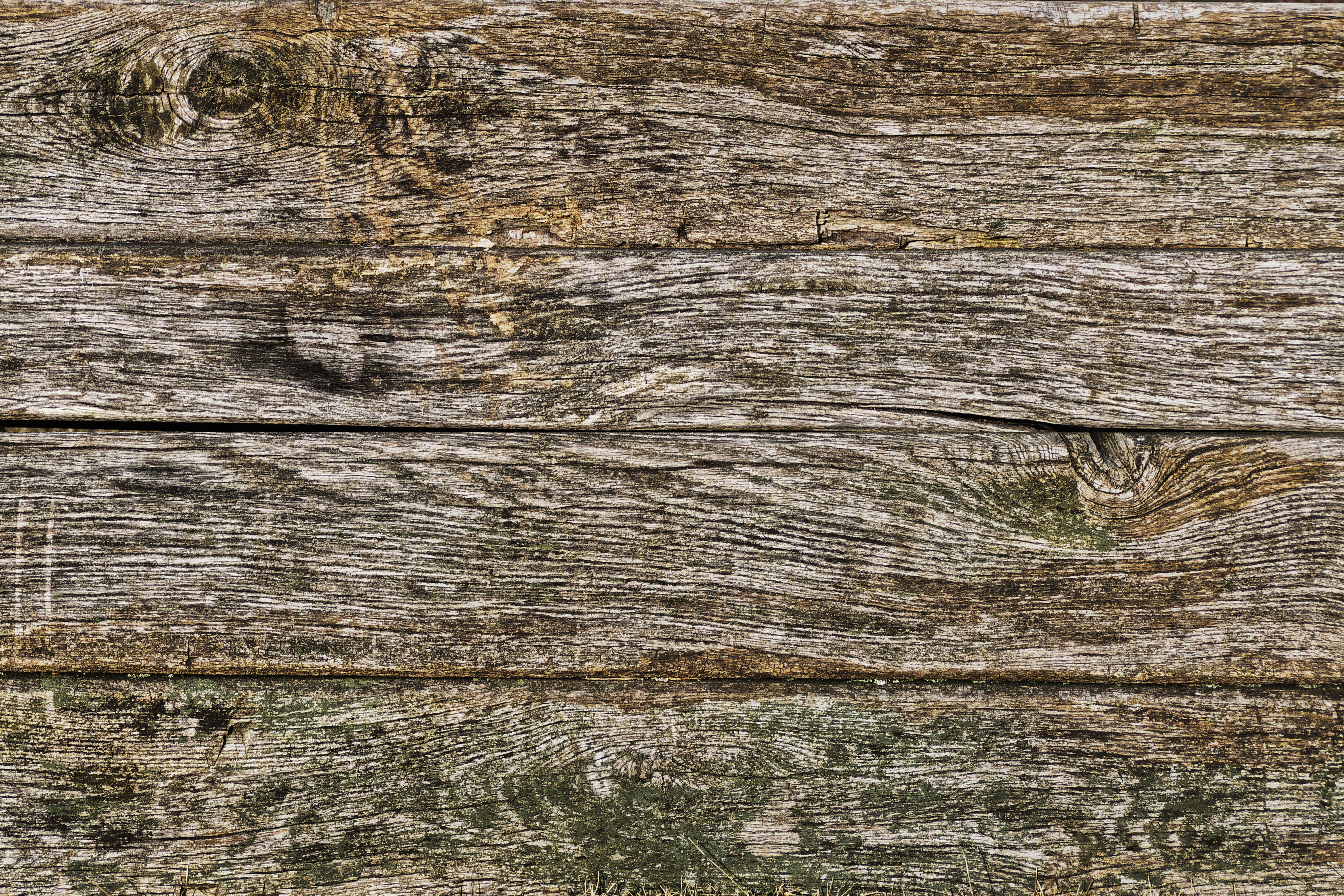 tree trunk, old, clean, weathered, antique, rough, rau, close-up, panel, outdoors, wood, brown, backgrounds, battens, tree, background wood, plank, wooden boards, HD Wallpaper