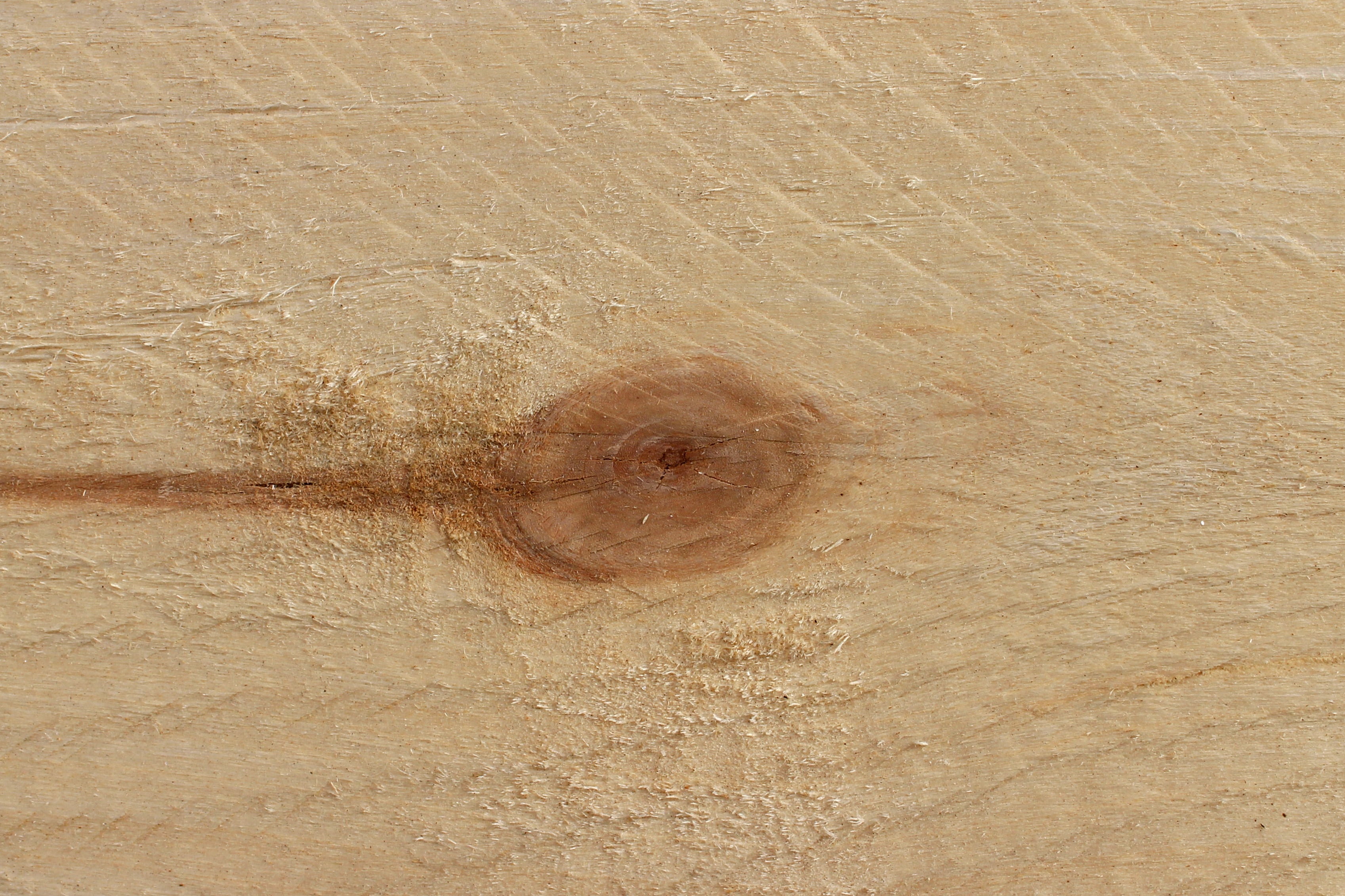 natural material, concentric, outdoors, tree ring, high angle view, grain, close-up, texture, land, full frame, beige, board, bohlen, shape, day, saw cut, HD Wallpaper