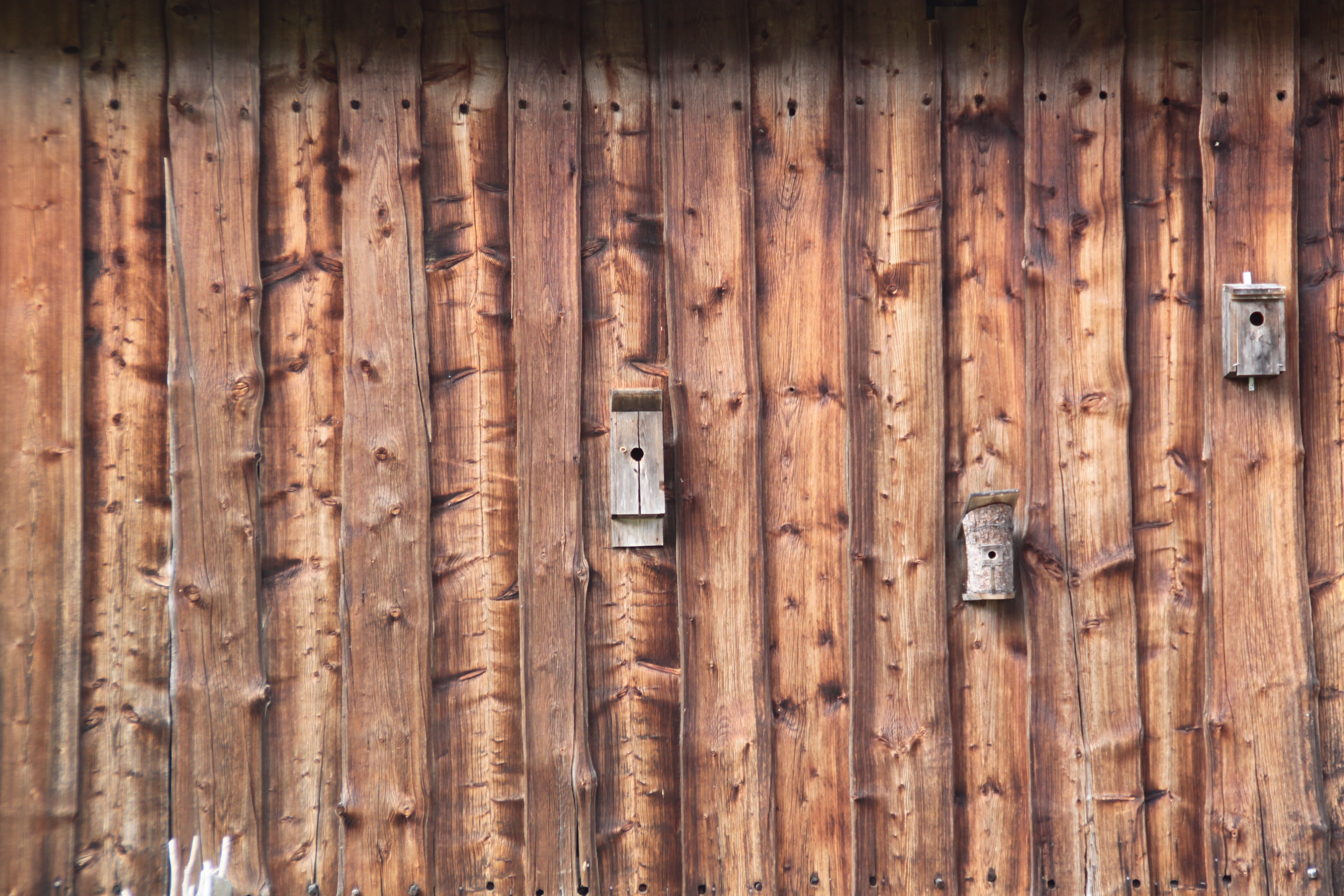 full frame, outdoors, plank, door, old, wooden wall, close-up, security, day, brown, 4K, wall - building feature, woods, wood, entrance, no people, safety, HD Wallpaper