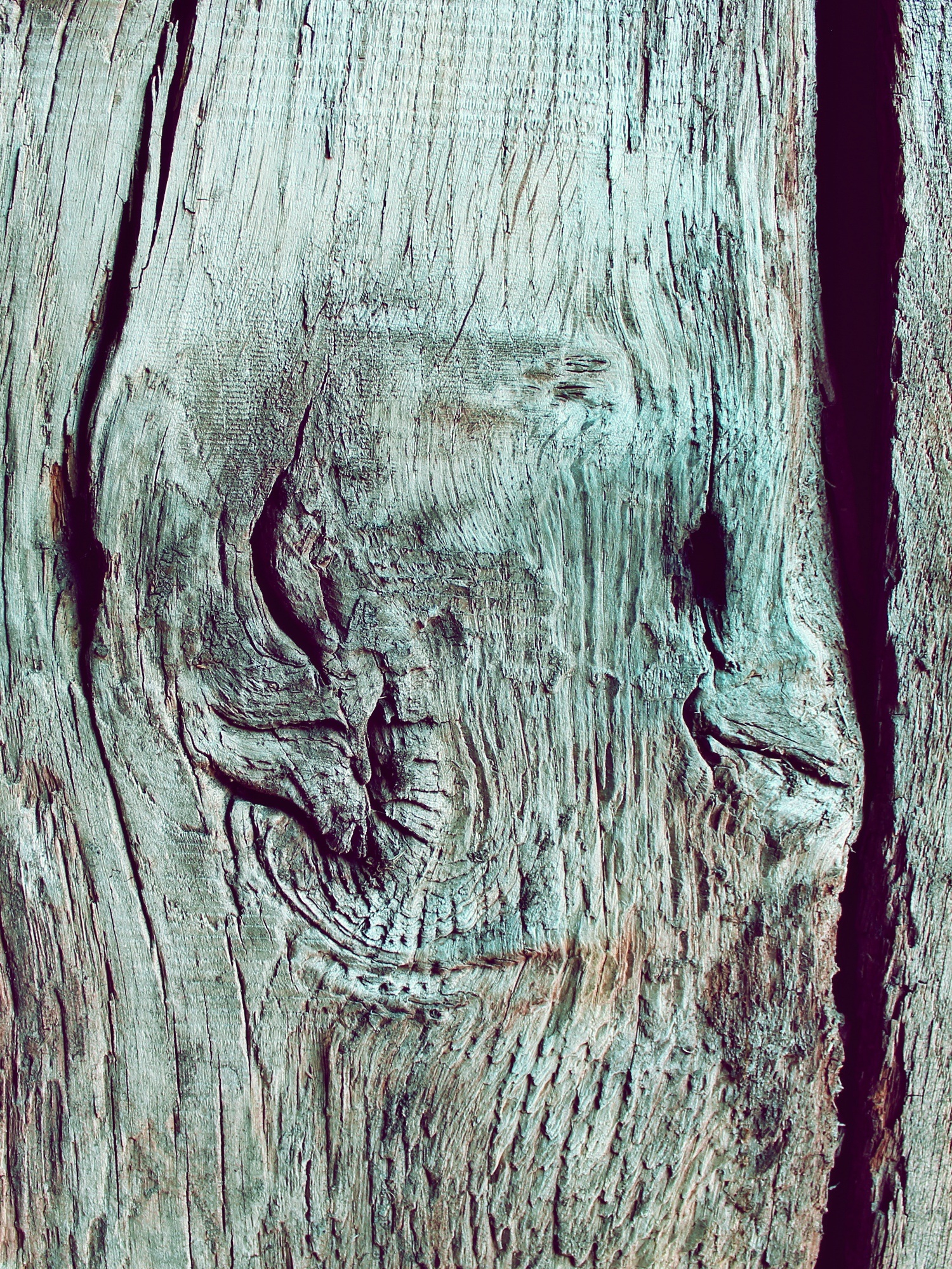 textured, close-up, bark, grain, background, weathered, backgrounds, full frame, natural pattern, 1080P, nature, day, wall boards, wood - material, board, Phone HD Wallpaper