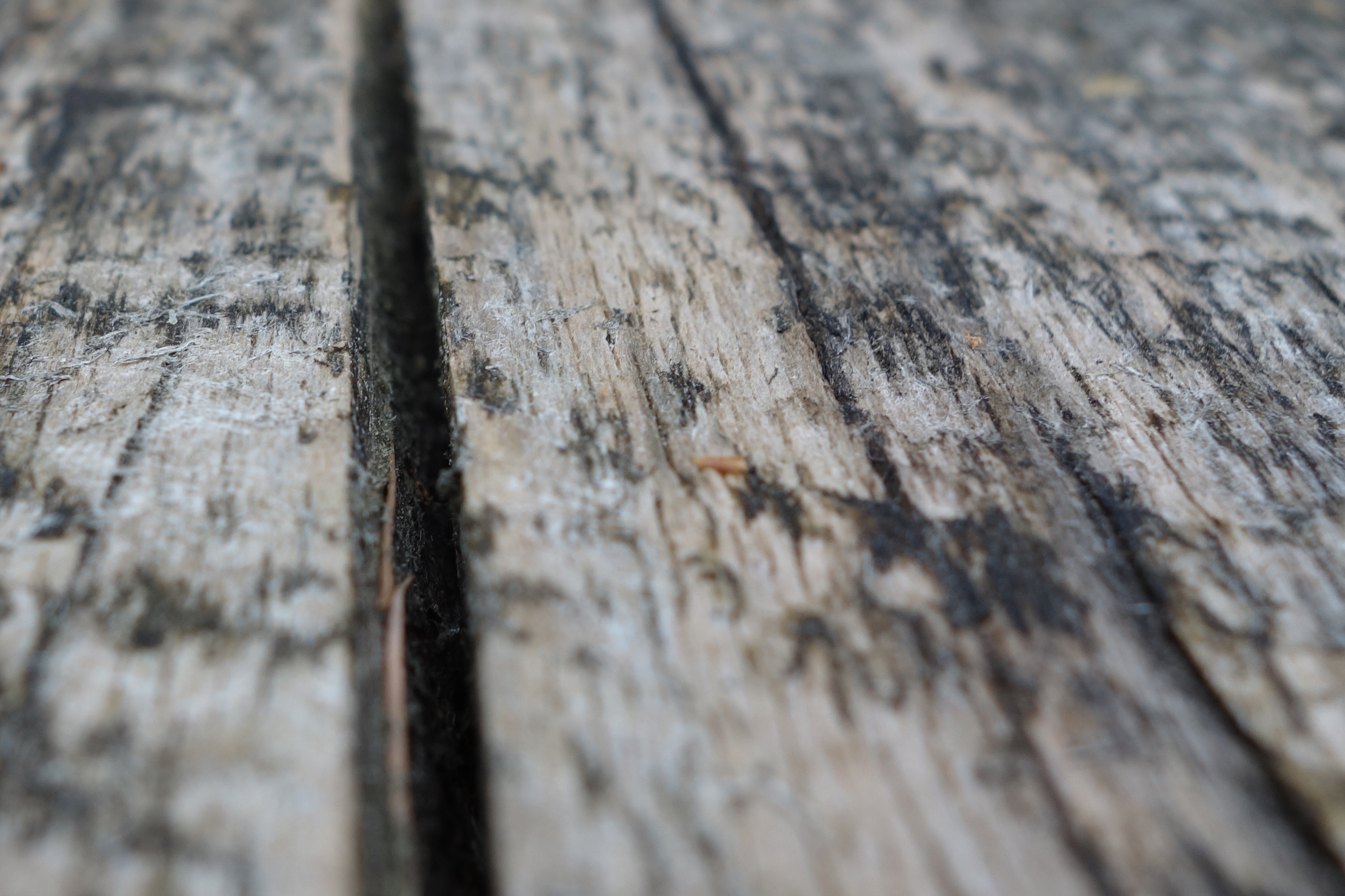 wood - material, weathered, full frame, wood, outdoors, old, texture, selective focus, wood grain, nature, high angle view, bohlen, backgrounds, background, HD Wallpaper