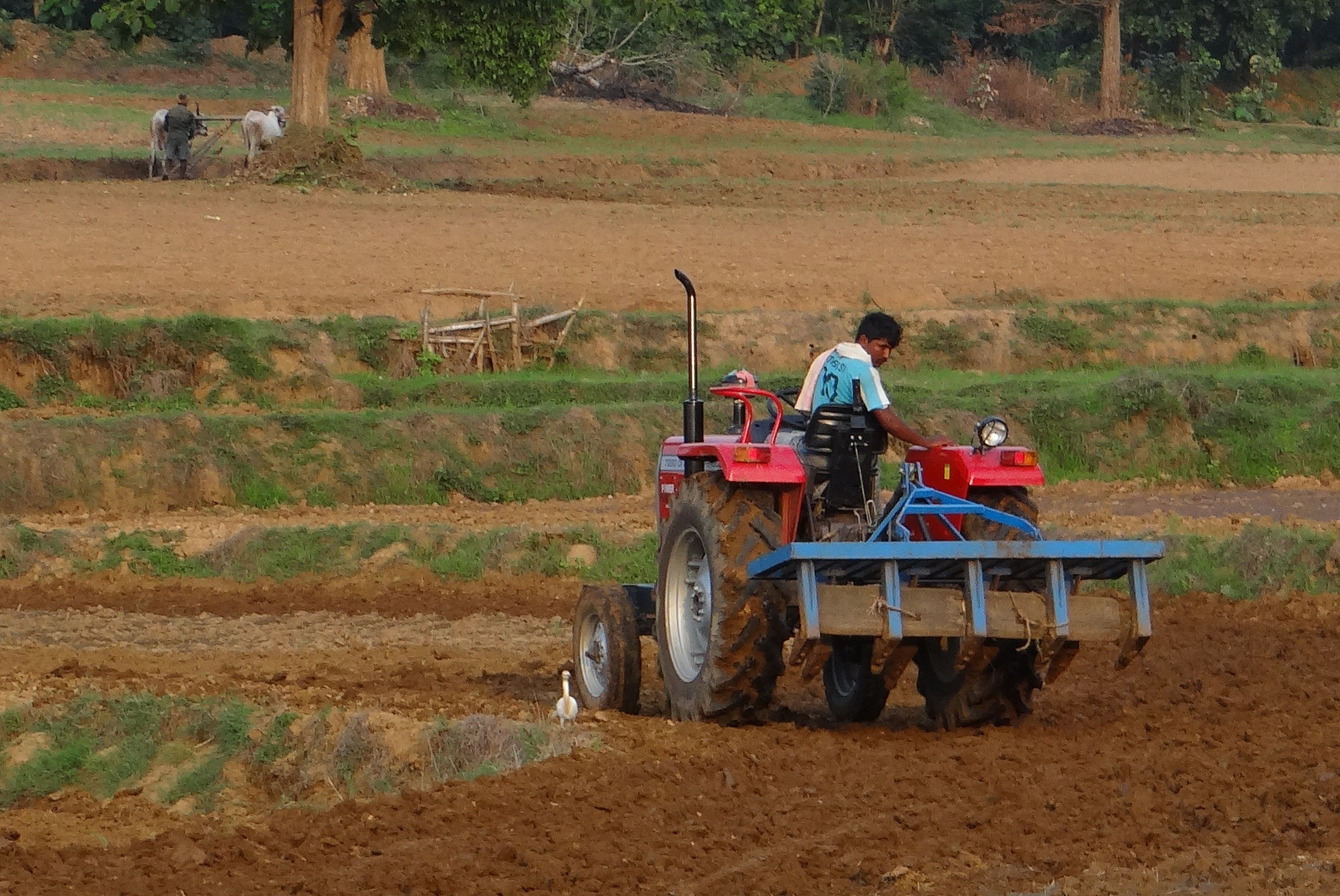 rural Scene, day, tractor, machinery, field, landscape, lifestyles, men, karnataka, tiller, equipment, dirt, outdoors, plowed Field, farm, one person, mode of transportation, HD Wallpaper