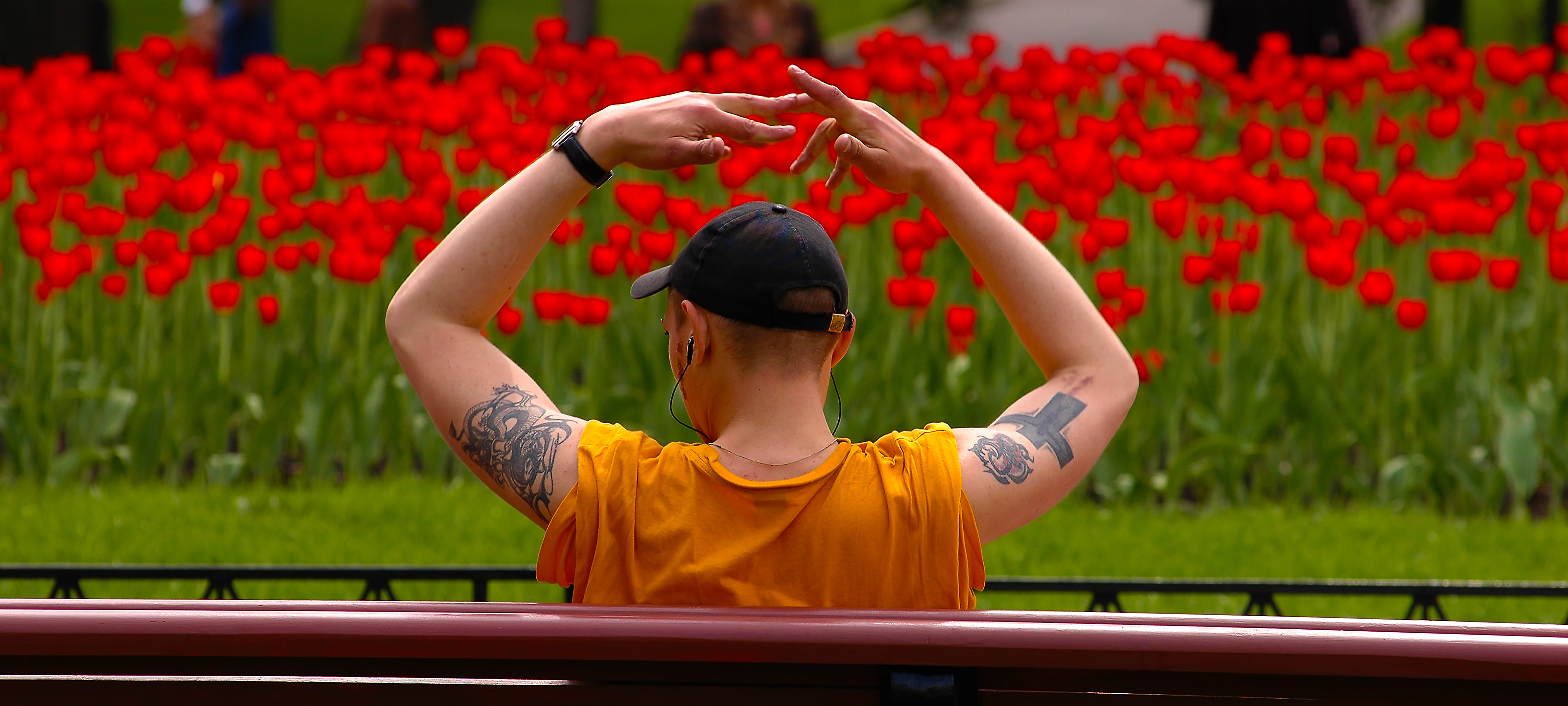 flowering plant, tomb of the unknown soldier, sport, outdoors, finger ballet, red, russian youth, one person, arms raised, real people, moskva, spectator, HD Wallpaper