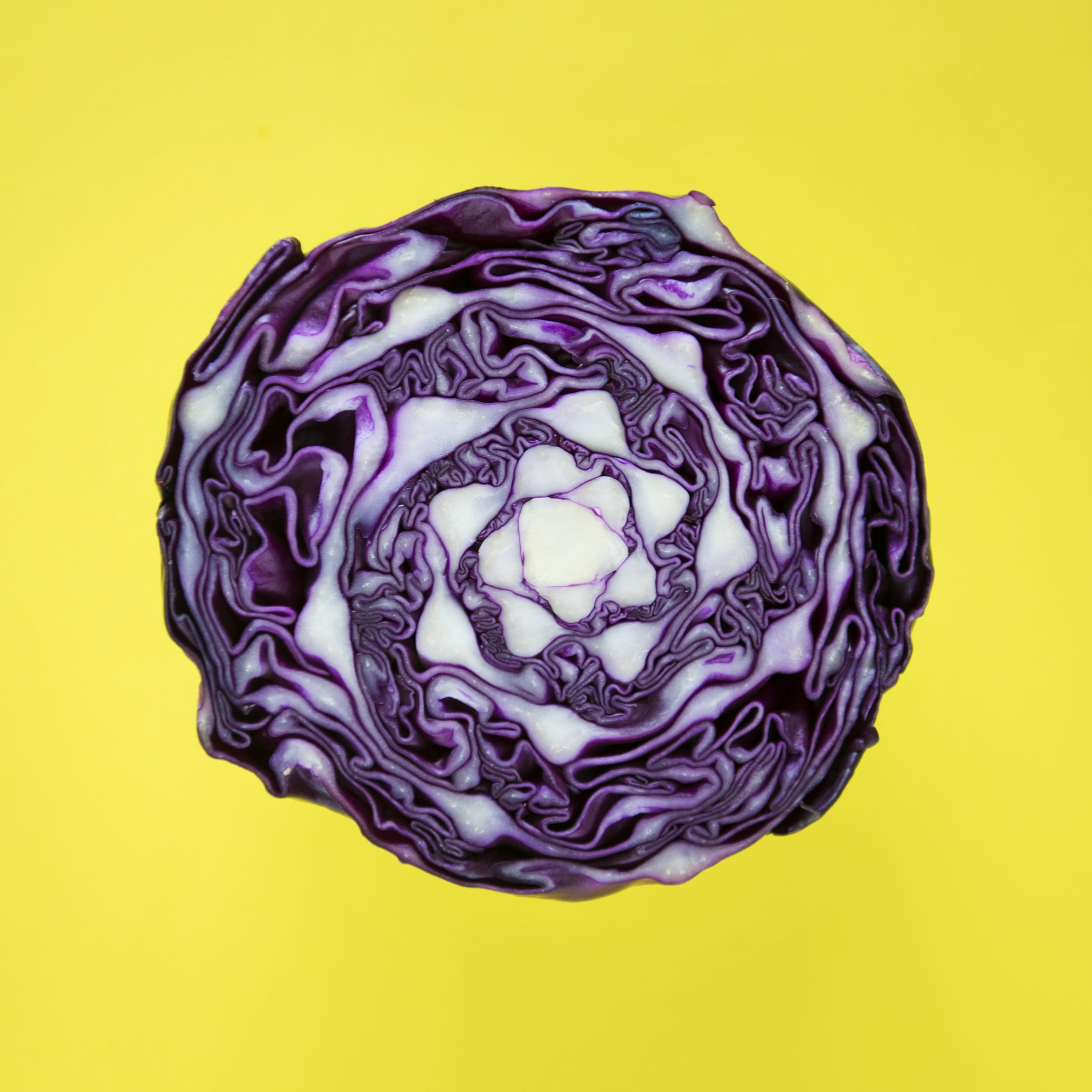 cabbages, tasty, organic, natural, cross section, colored background, fresh, yellow, purple, no people, healthy, closeup, still life, background, studio shot, Phone HD Wallpaper