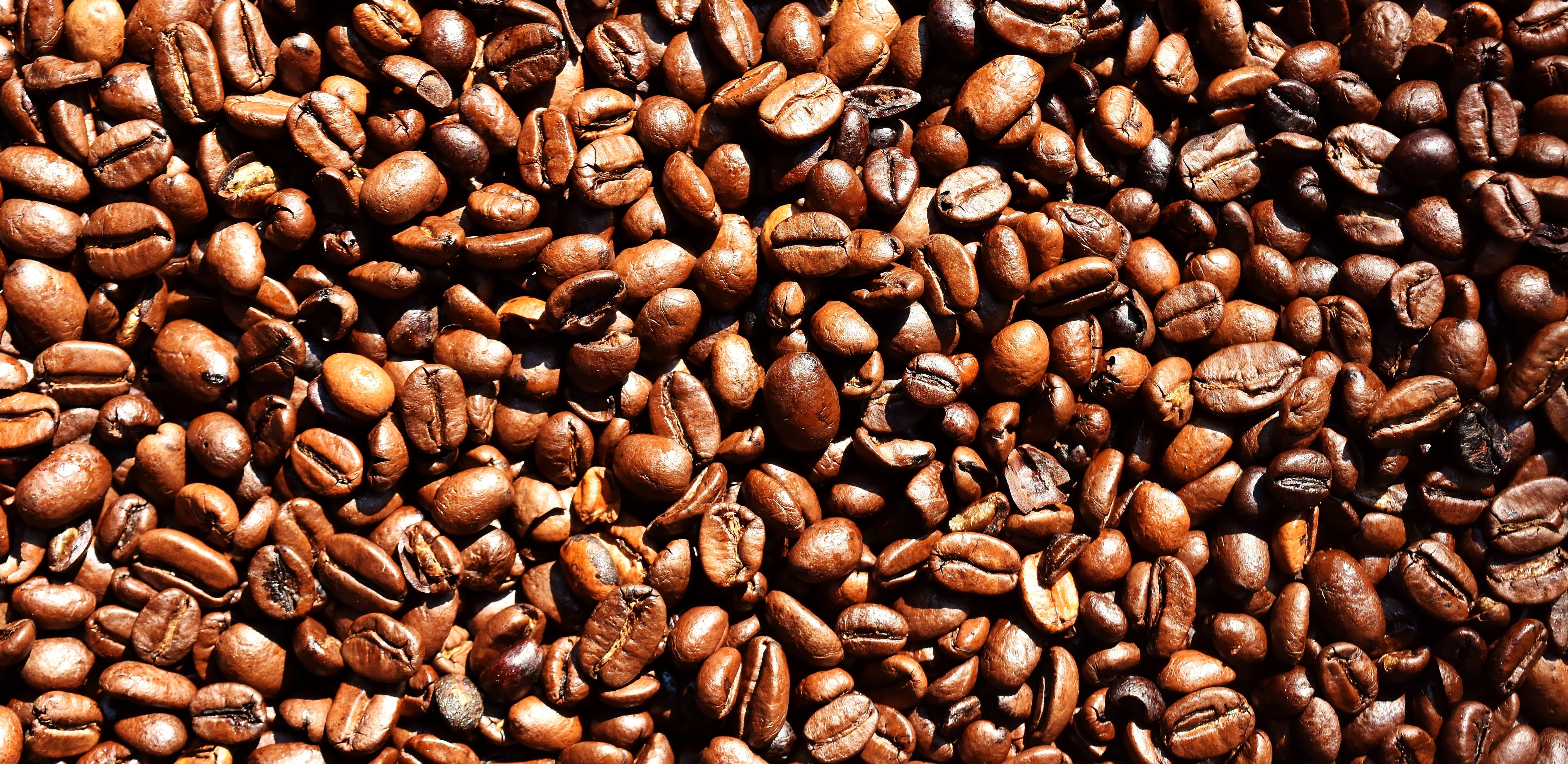 photo, drink, full frame, backgrounds, coffee bean, close-up, 5K, high angle view, coffee - drink, pile, food, roasting, indoors, brown, top, stimulant, HD Wallpaper