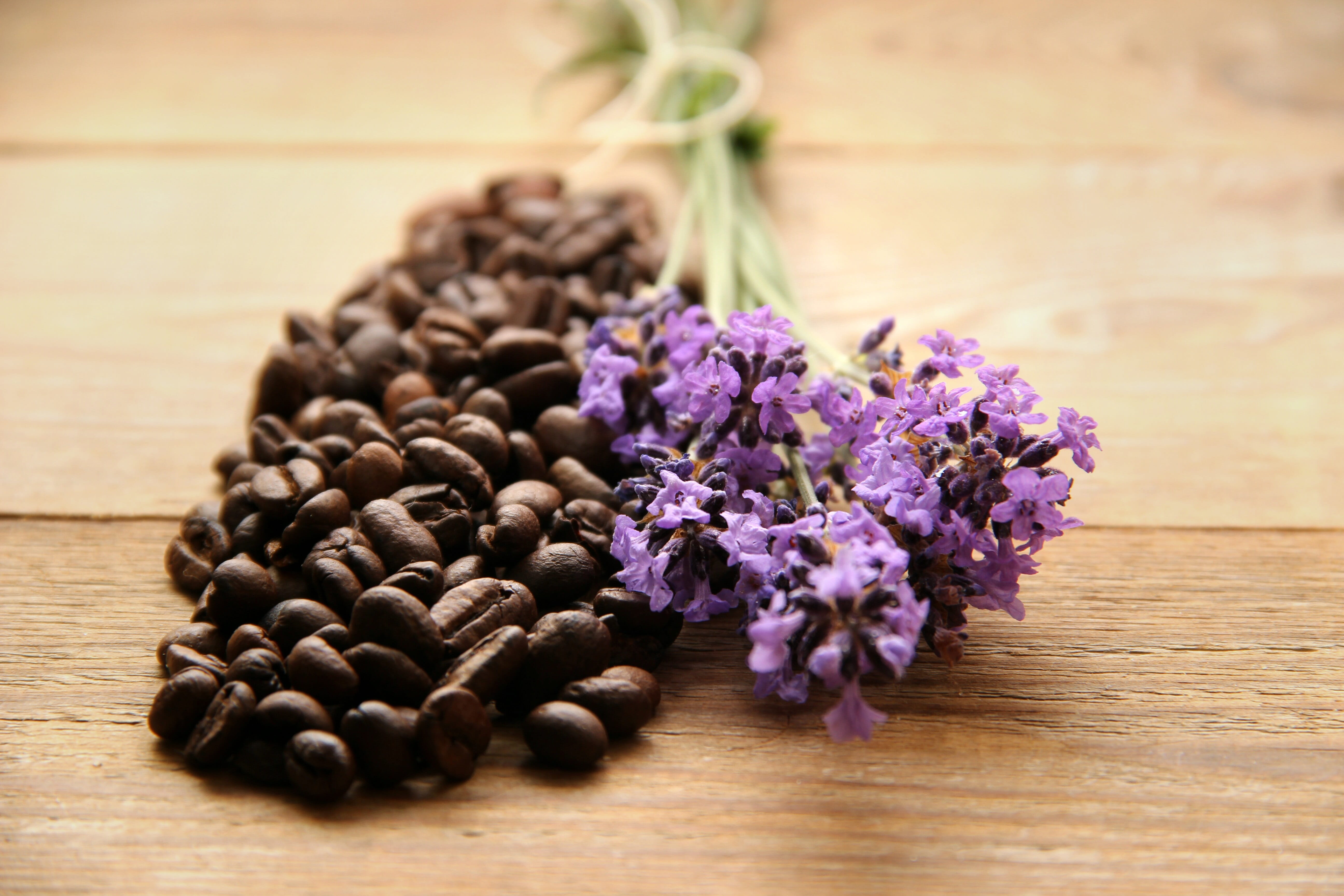 lavender, herb, flower, food, freshness, beauty in nature, flower head, table, wood, roasted, selective focus, brown, background, no people, still life, HD Wallpaper
